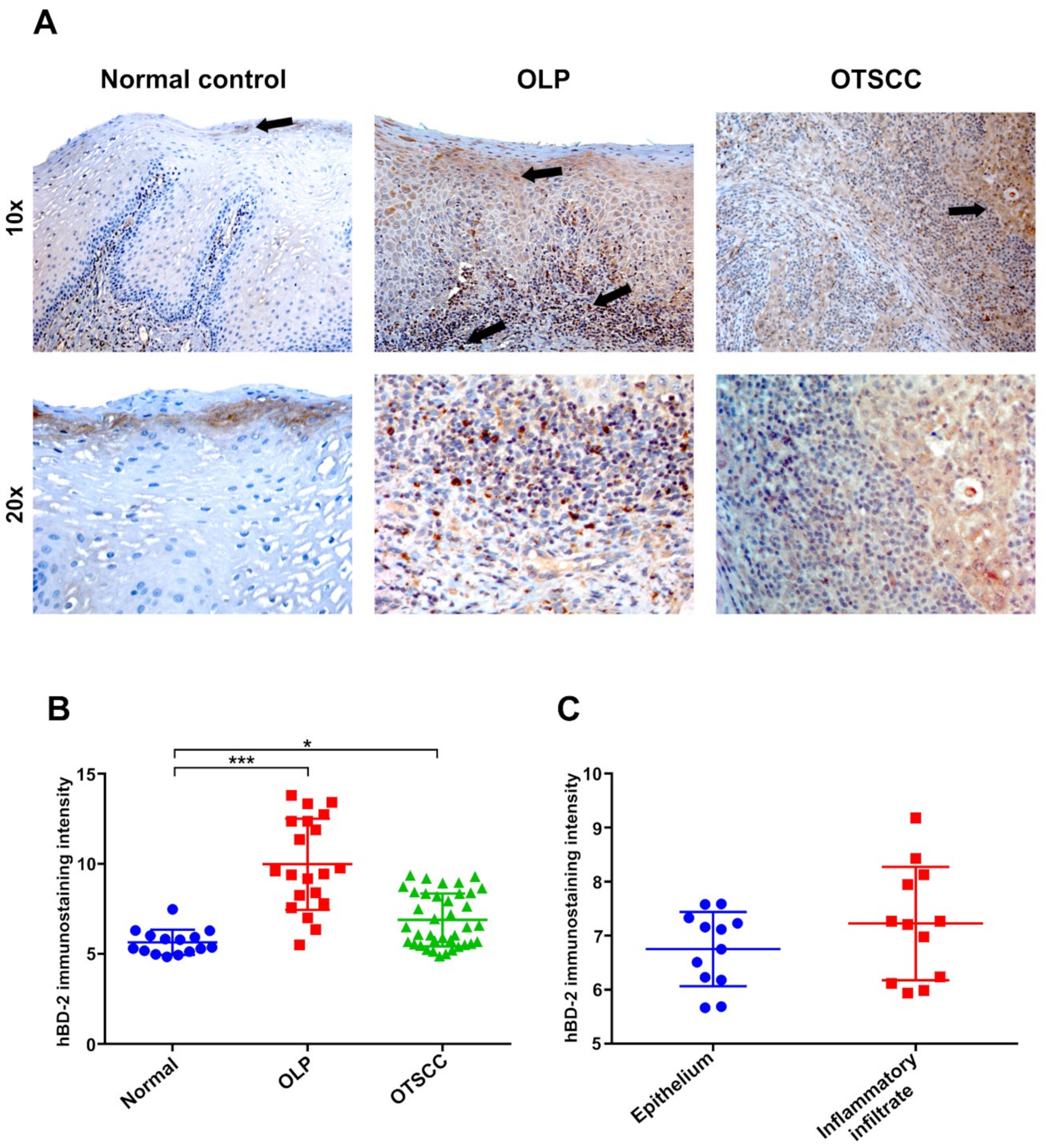 Ijms 20 01780 g001 Ijms 20 01780 g001