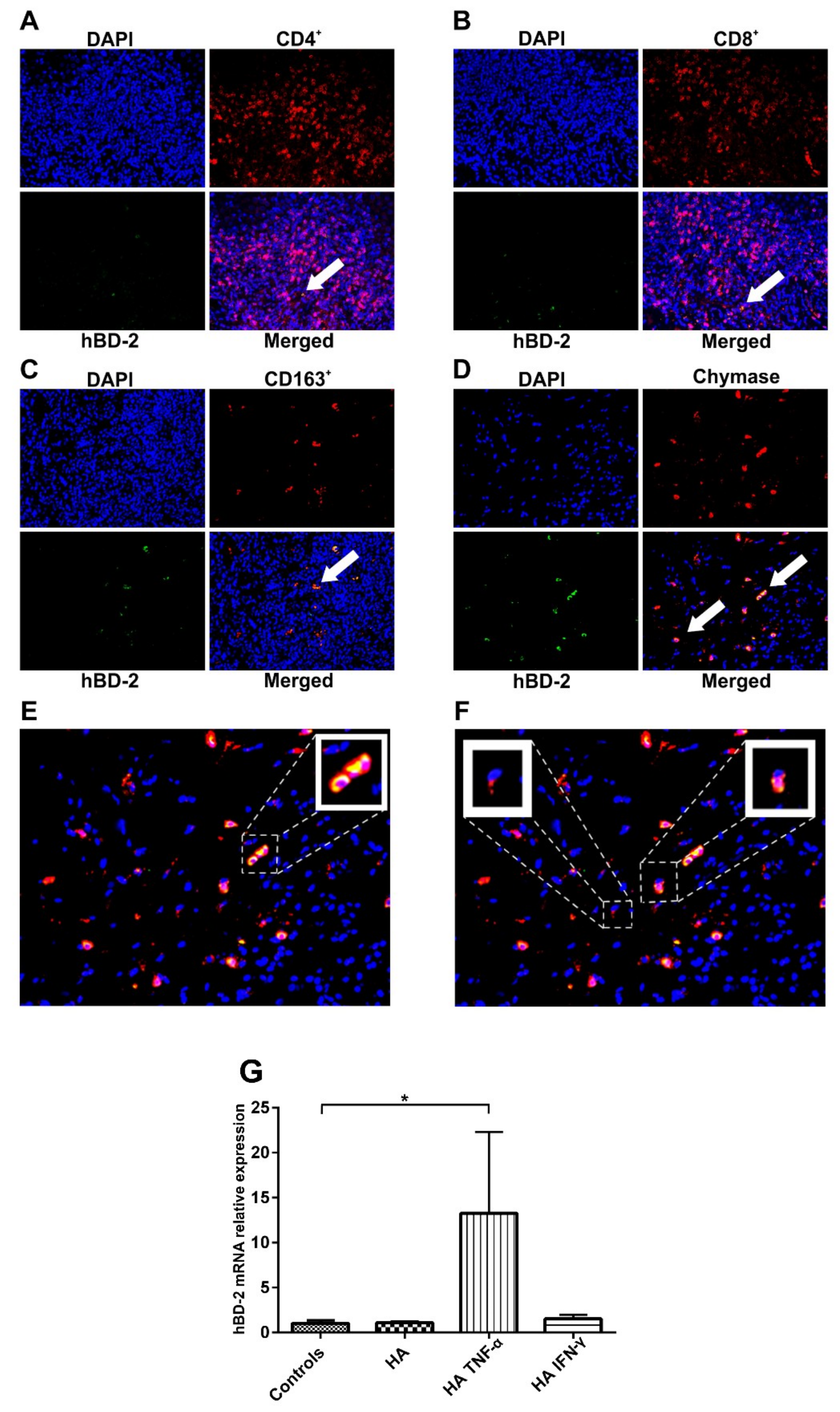 Ijms 20 01780 g003 Ijms 20 01780 g003