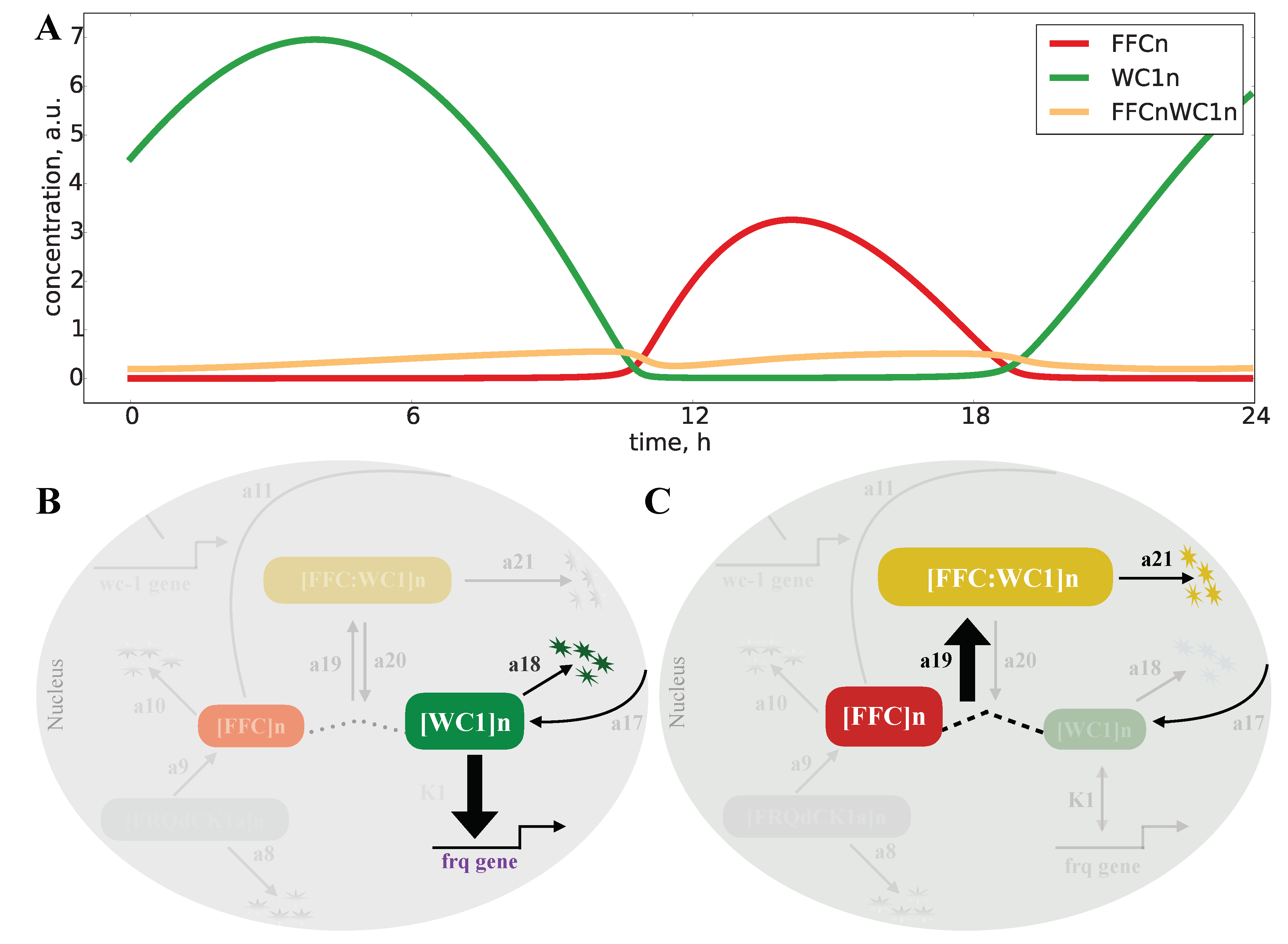 Ijms 20 02985 g005 Ijms 20 02985 g005