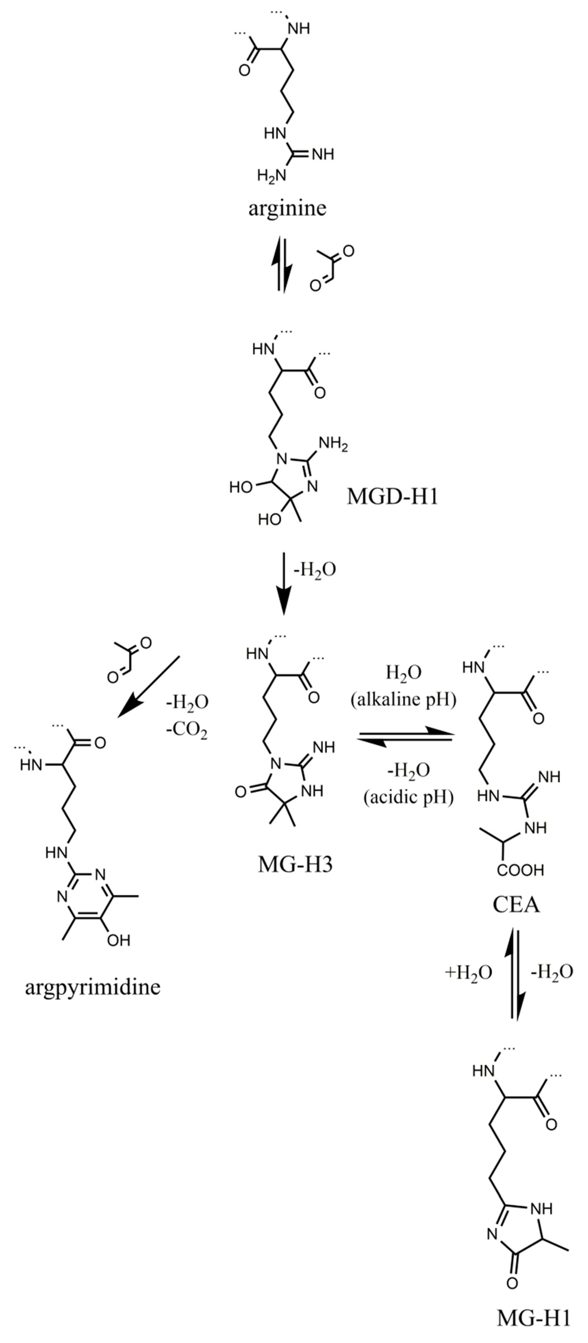 Ijms 20 03659 g001 Ijms 20 03659 g001