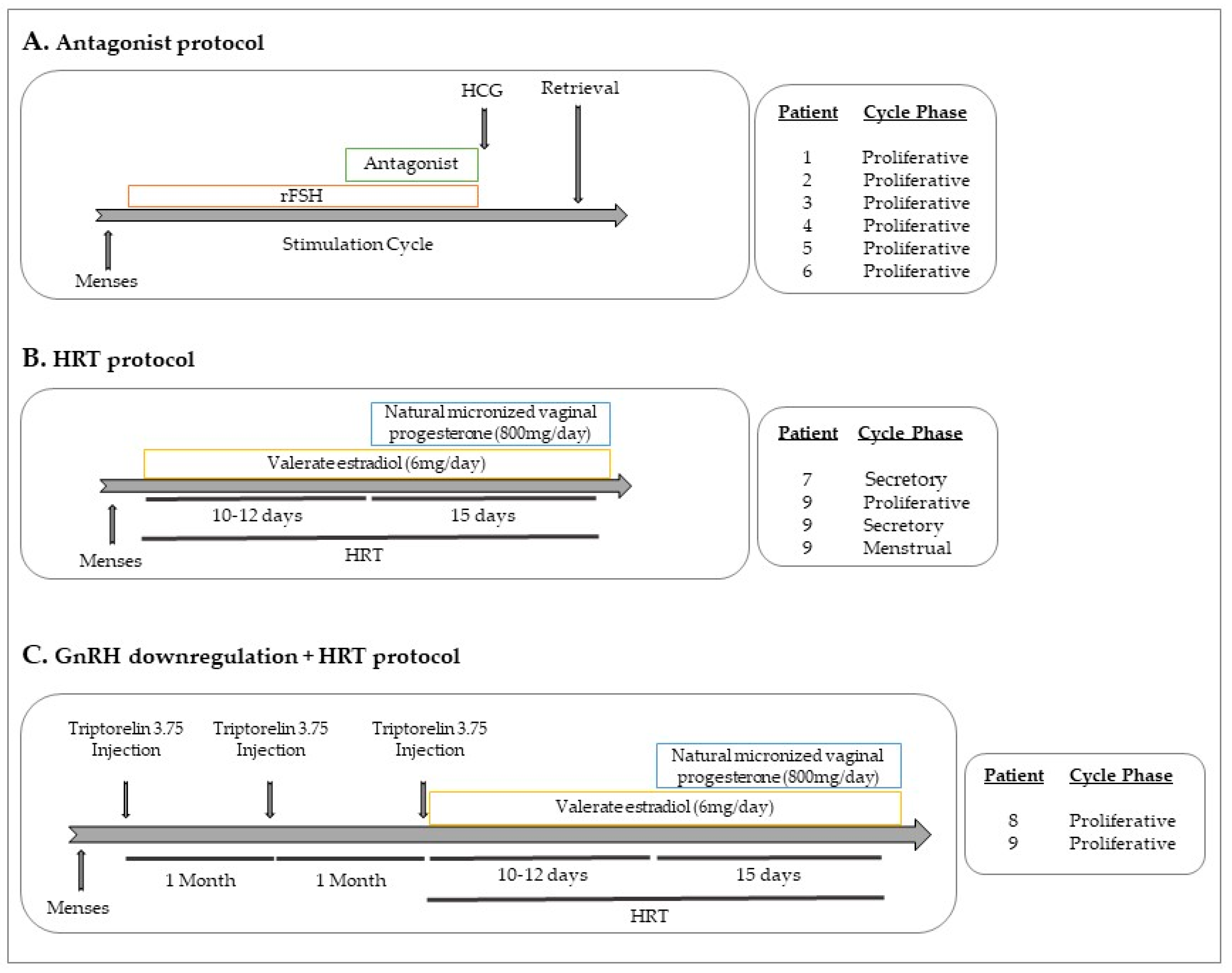 Ijms 20 03740 g002 Ijms 20 03740 g002