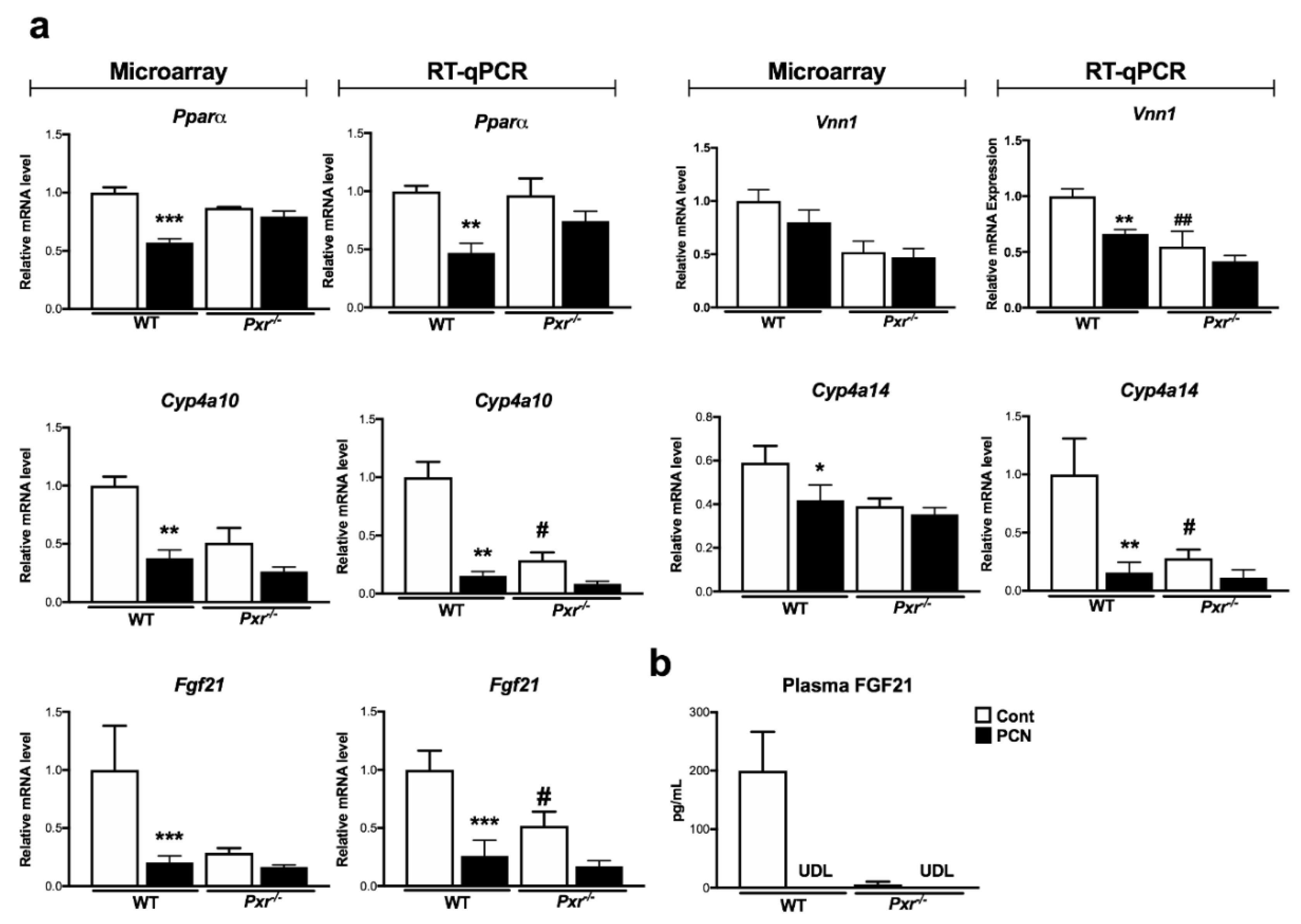 Ijms 20 03767 g004 Ijms 20 03767 g004