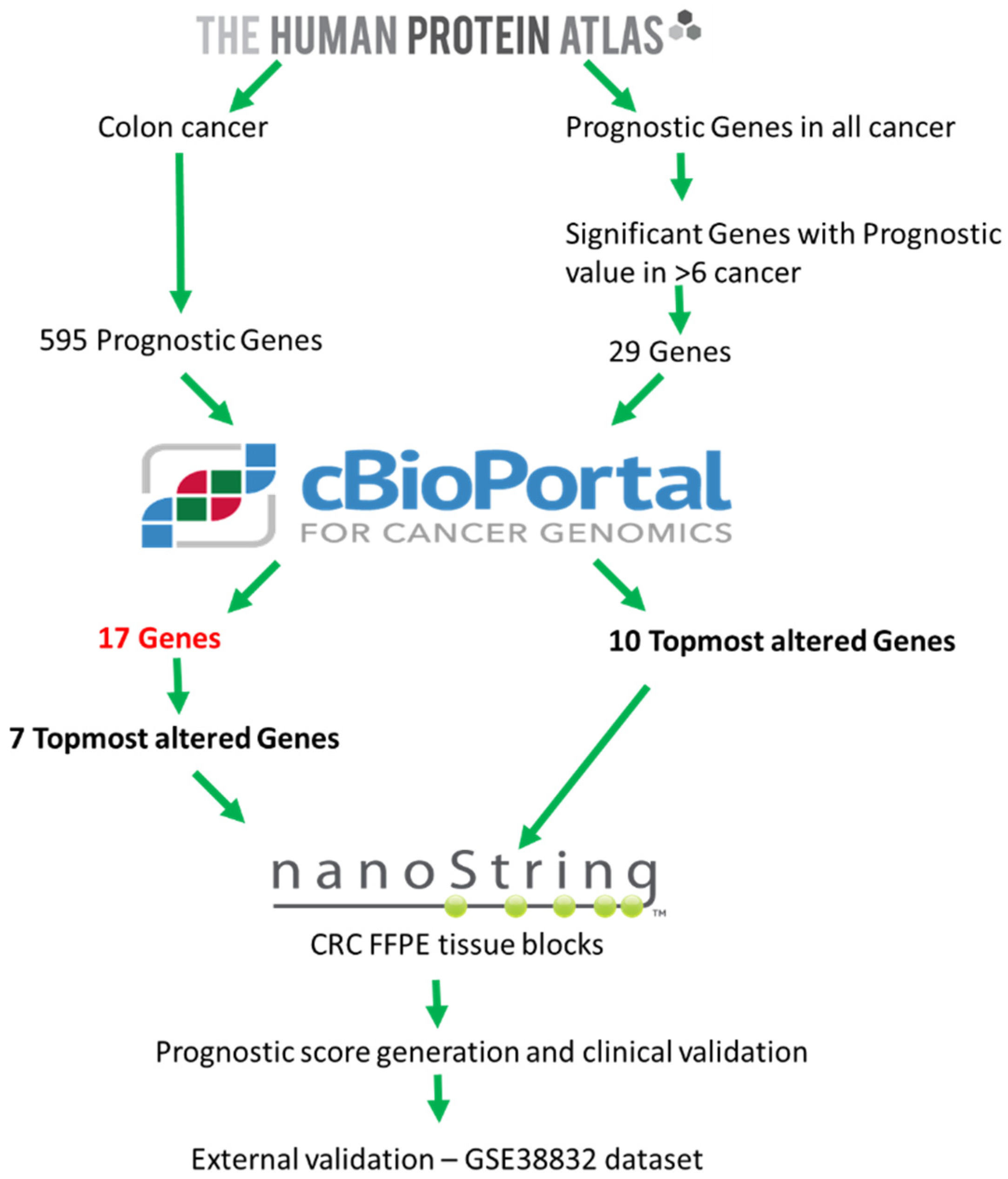 Ijms 20 03818 g007 Ijms 20 03818 g007