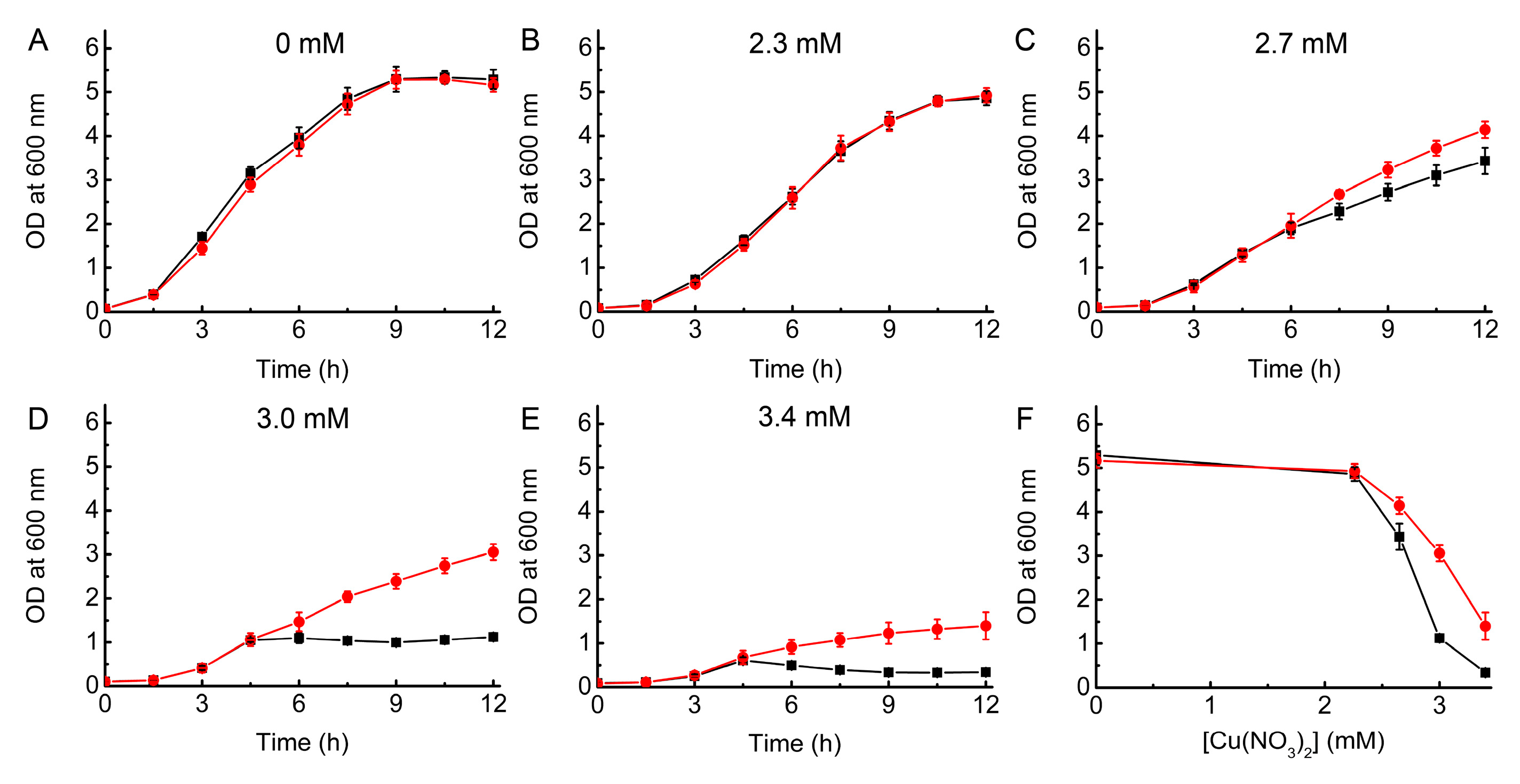 Ijms 20 04144 g005 Ijms 20 04144 g005