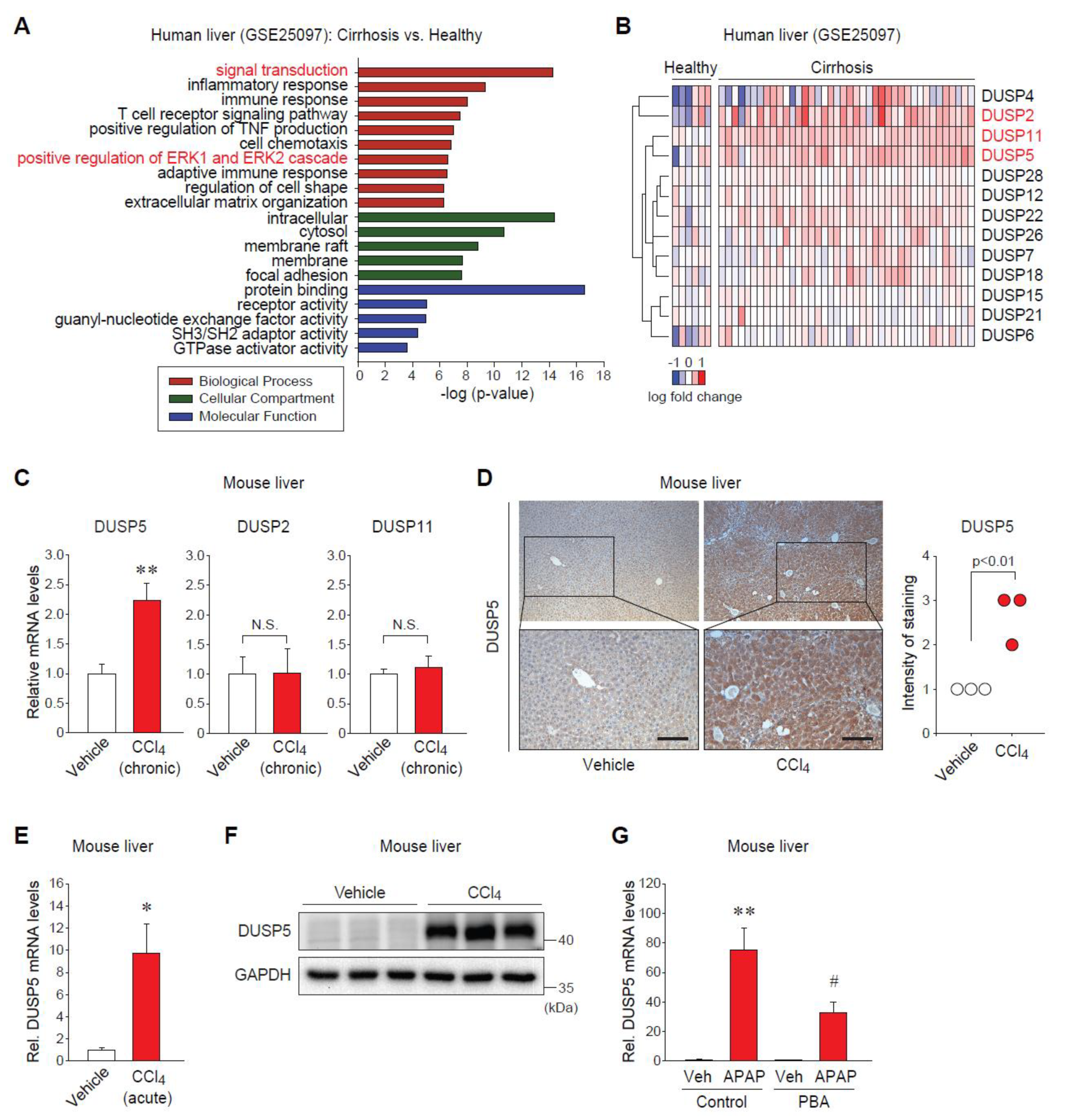 Ijms 20 04369 g001 Ijms 20 04369 g001