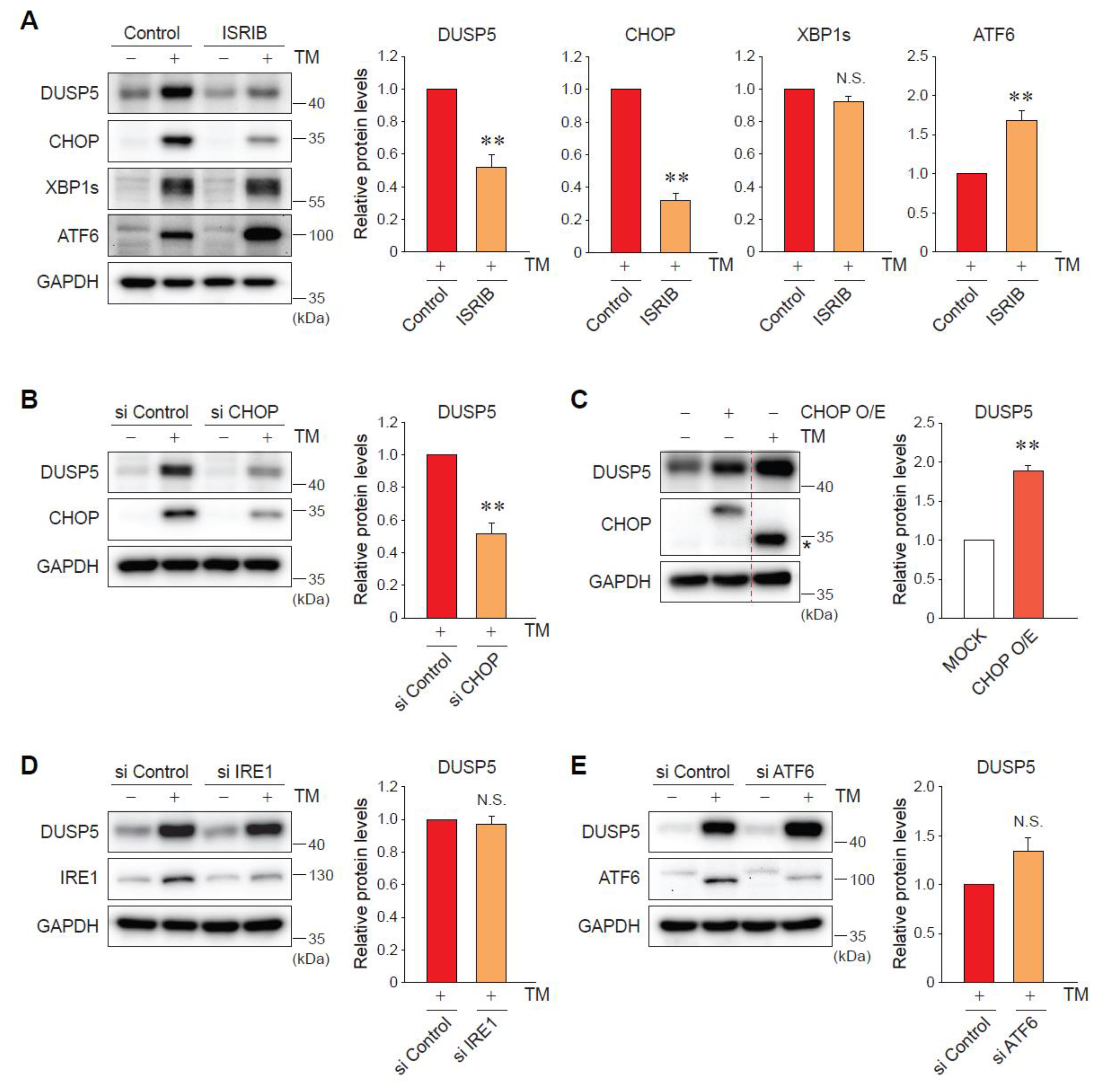 Ijms 20 04369 g003 Ijms 20 04369 g003