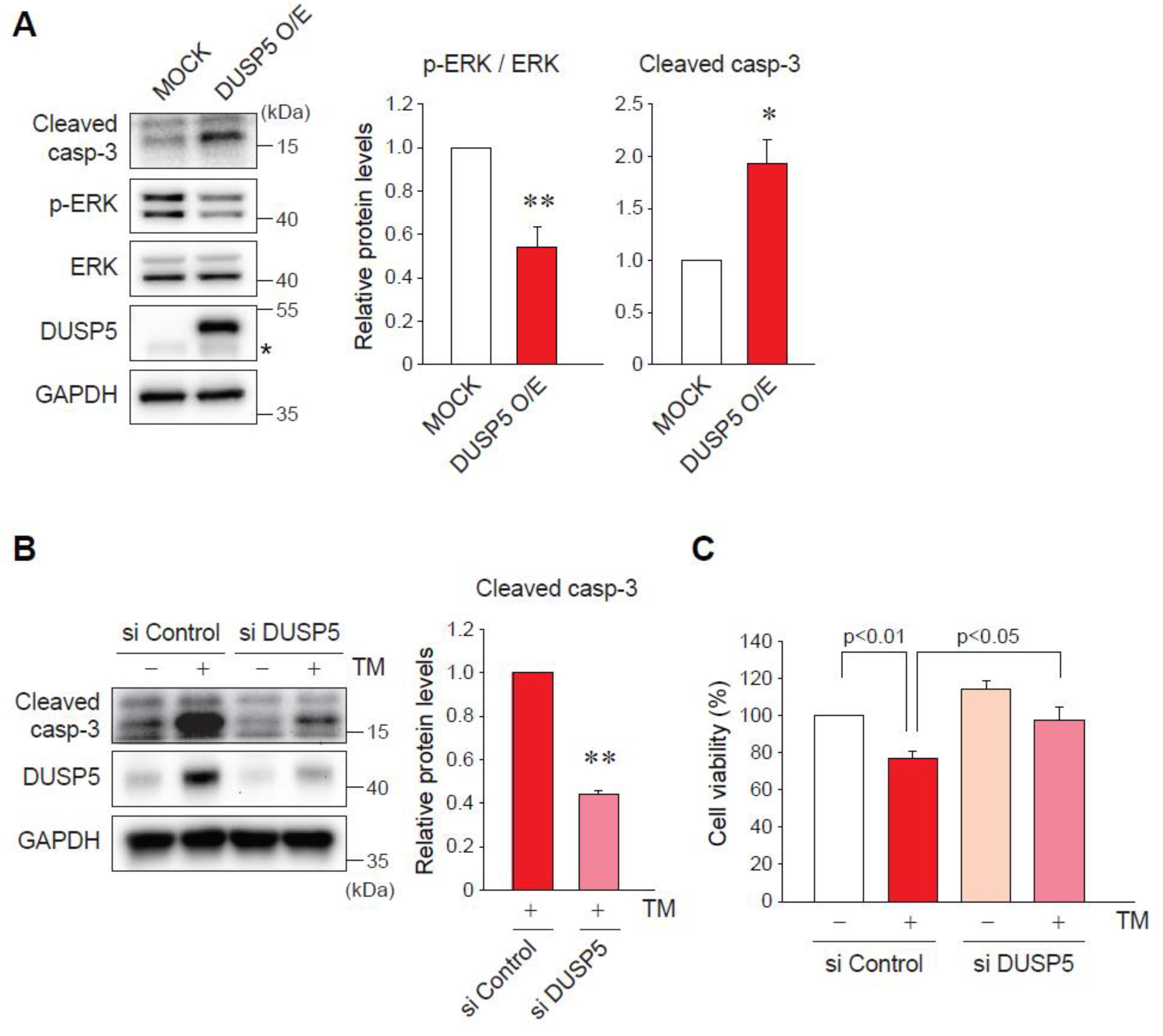 Ijms 20 04369 g004 Ijms 20 04369 g004