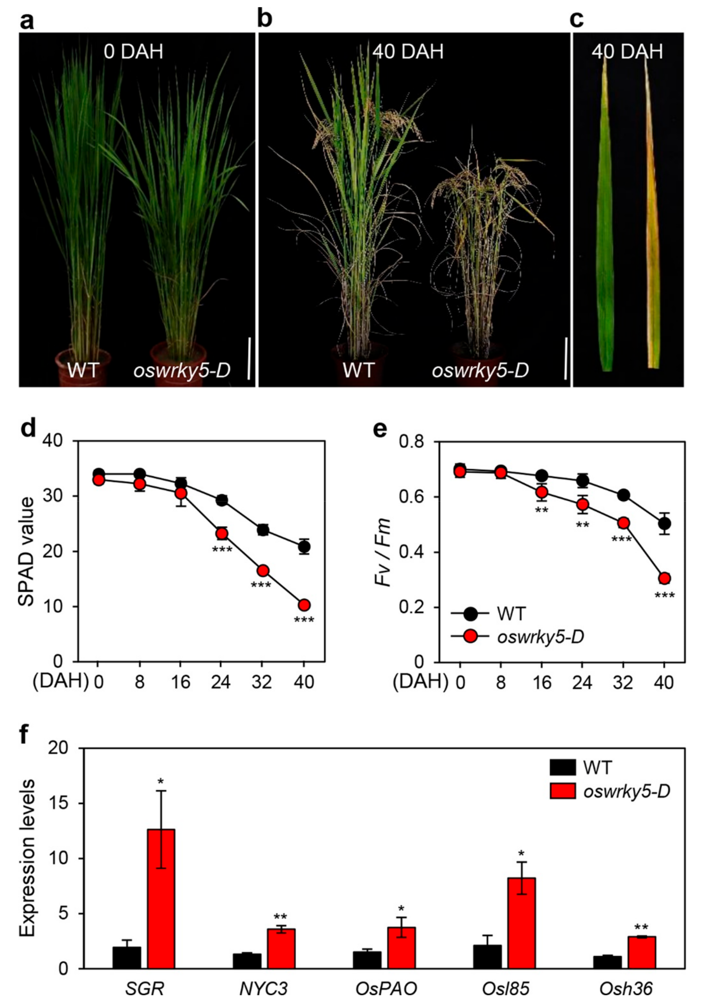 Ijms 20 04437 g005 Ijms 20 04437 g005