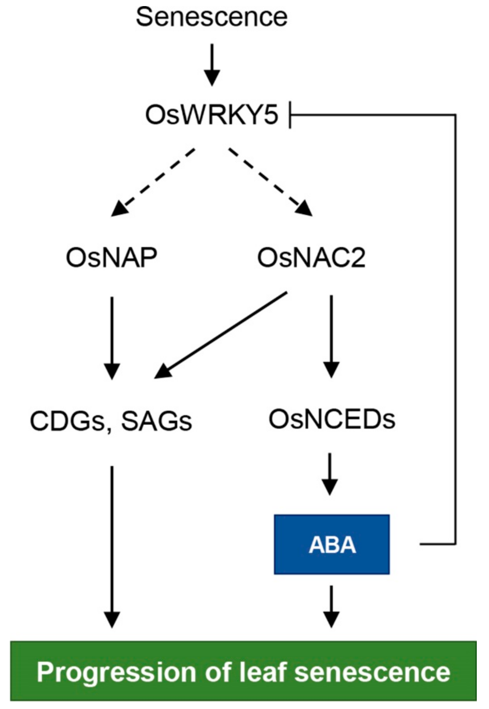 Ijms 20 04437 g008 Ijms 20 04437 g008