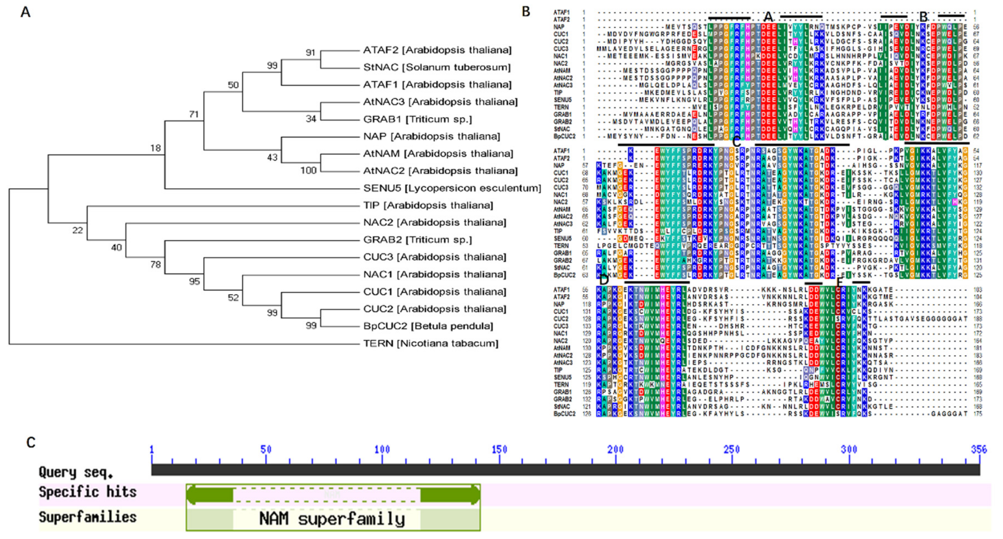 Ijms 20 04722 g001 Ijms 20 04722 g001