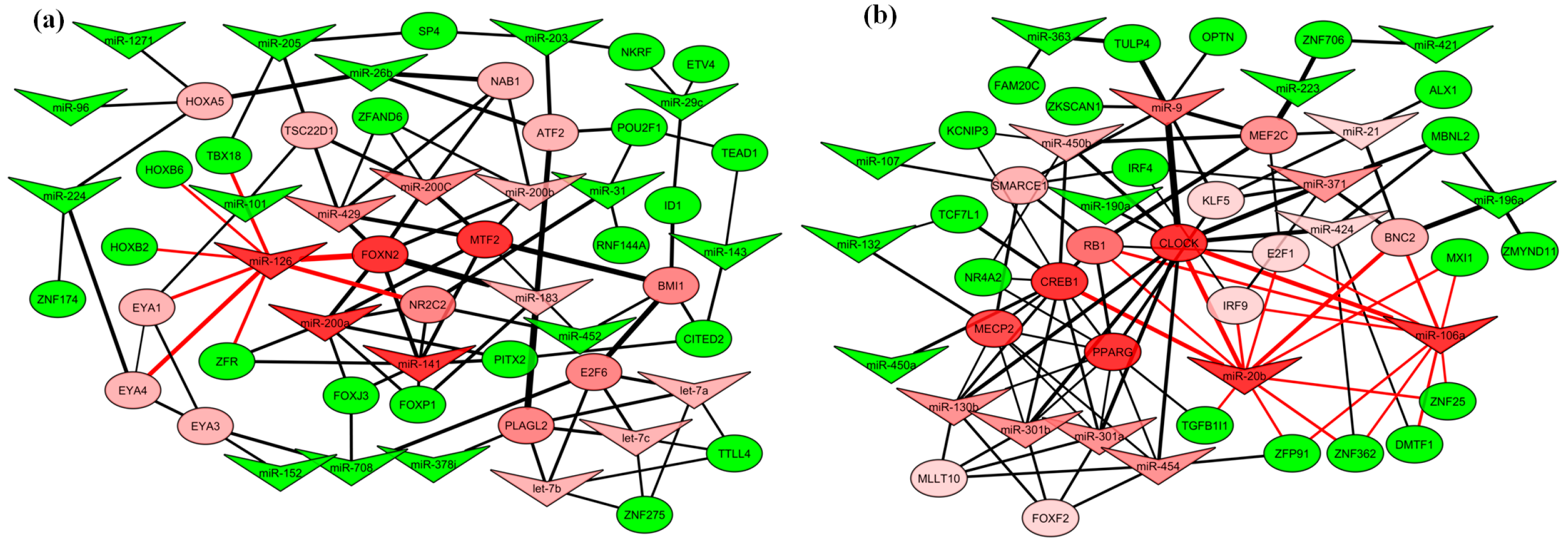 Ijms 20 04832 g004 Ijms 20 04832 g004