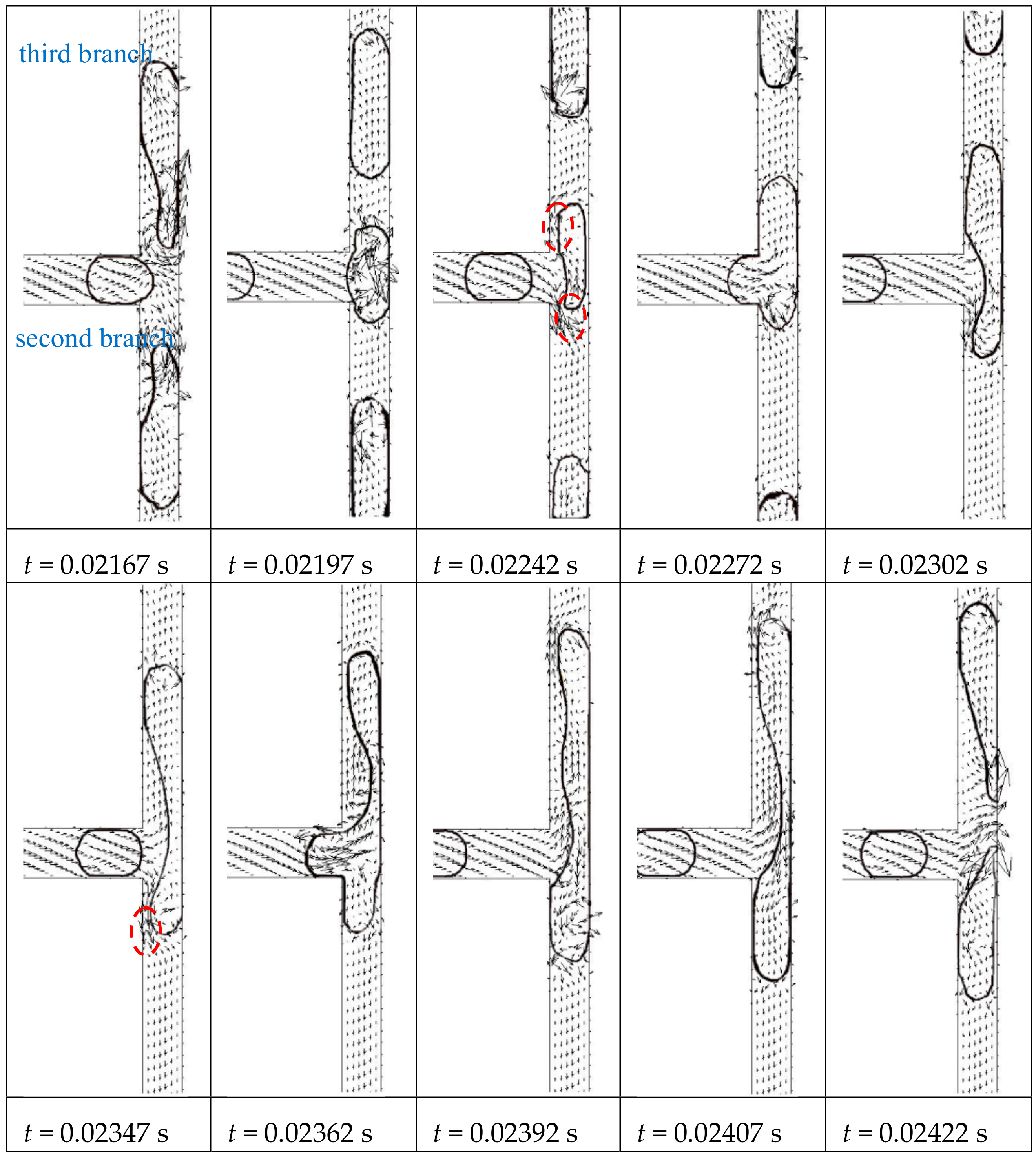 Ijms 20 05516 g004 Ijms 20 05516 g004