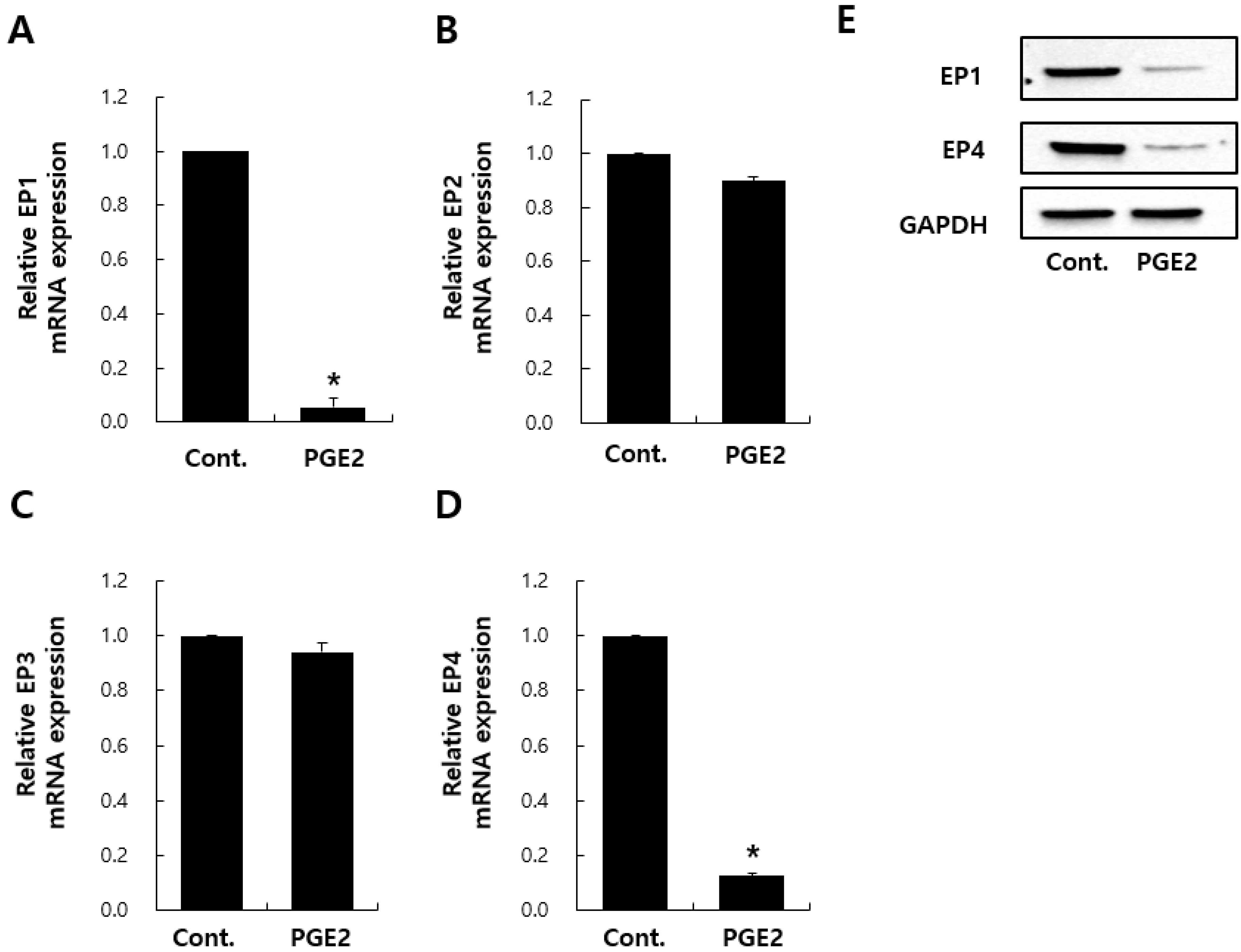Ijms 20 05555 g003 Ijms 20 05555 g003