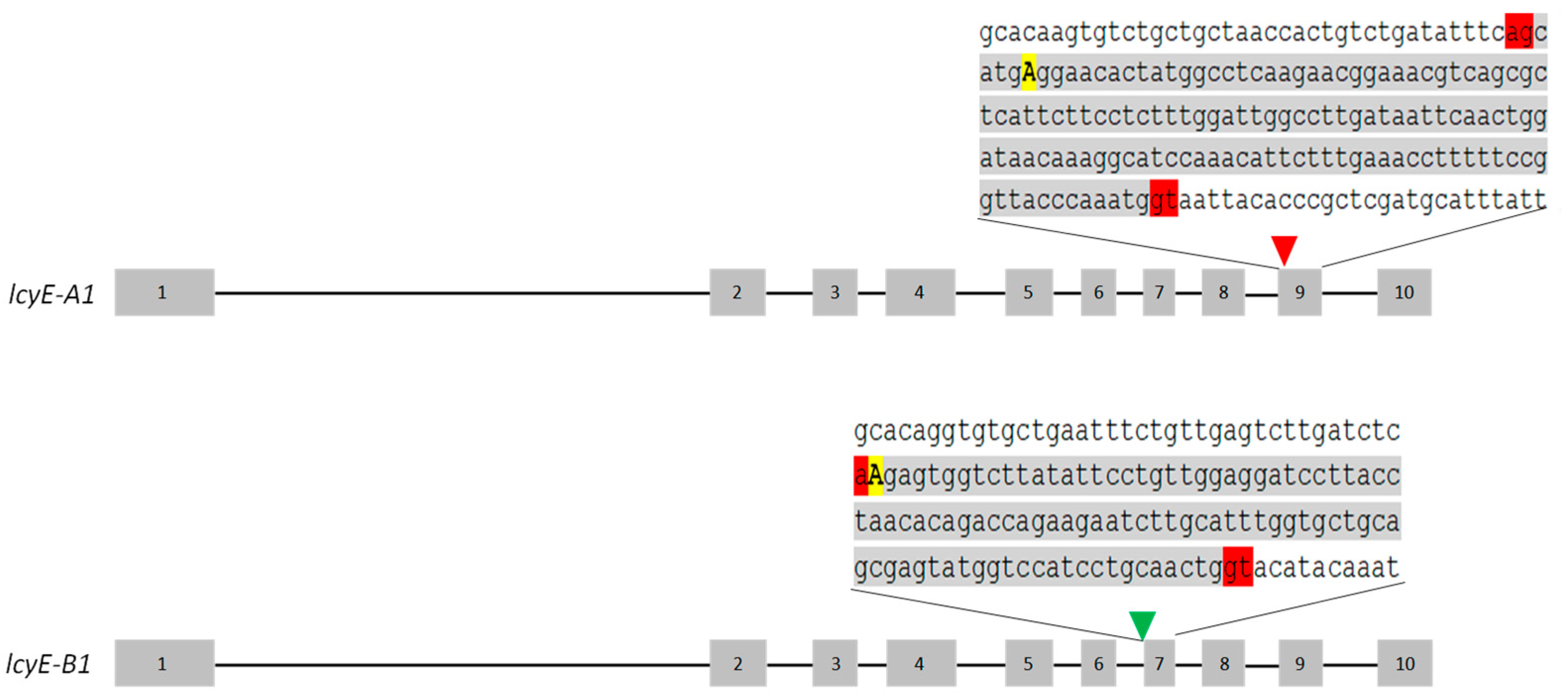 Ijms 20 05703 g002 Ijms 20 05703 g002