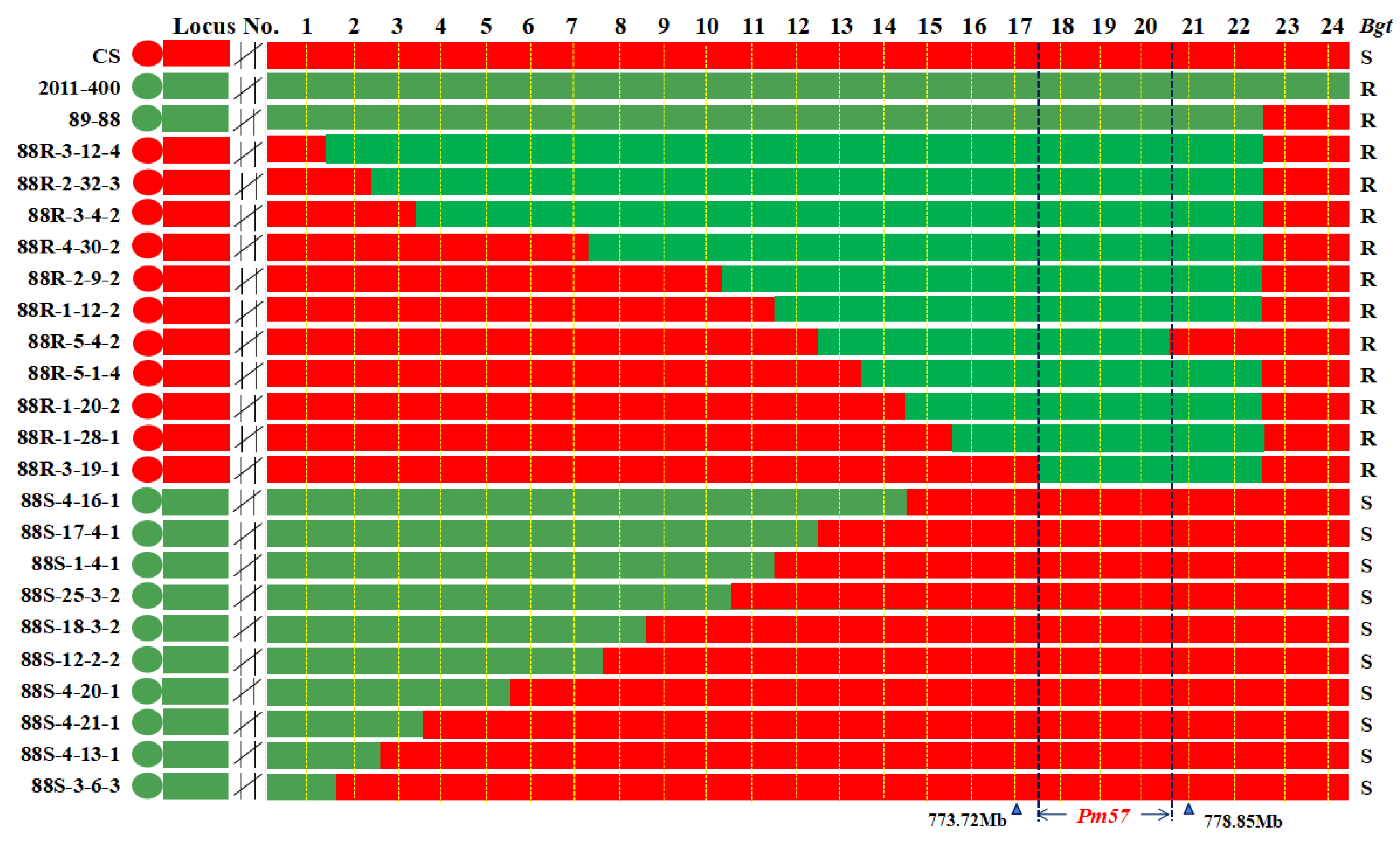 Ijms 21 00322 g005 Ijms 21 00322 g005