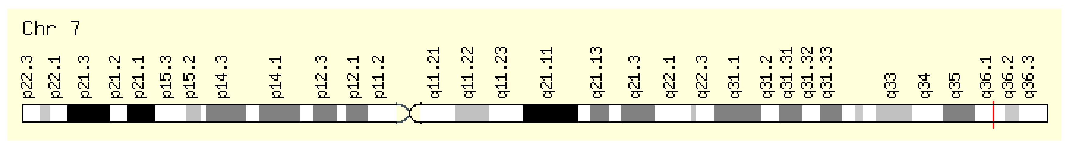 Ijms 21 01604 g007 Ijms 21 01604 g007