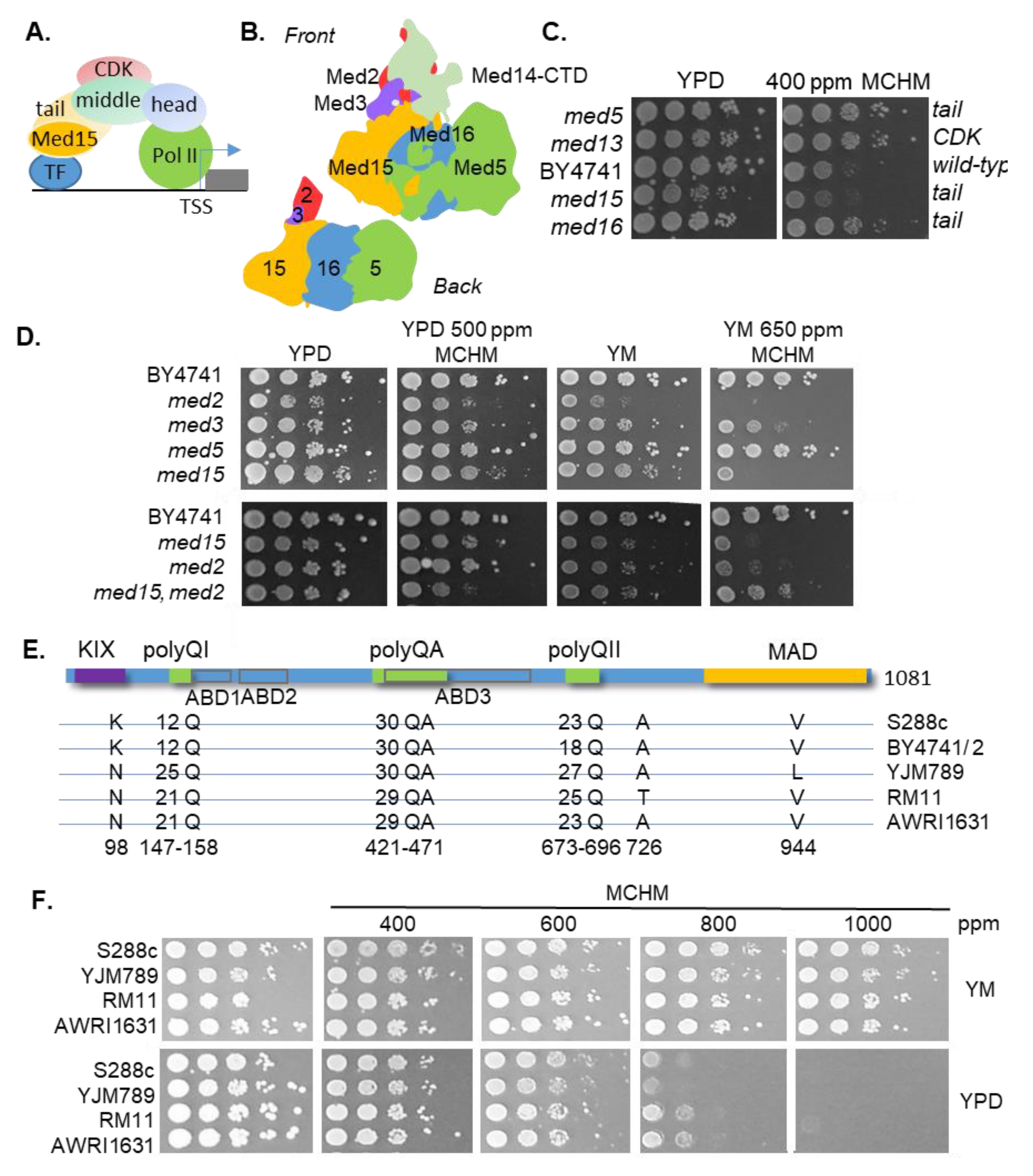 Ijms 21 01894 g001 Ijms 21 01894 g001