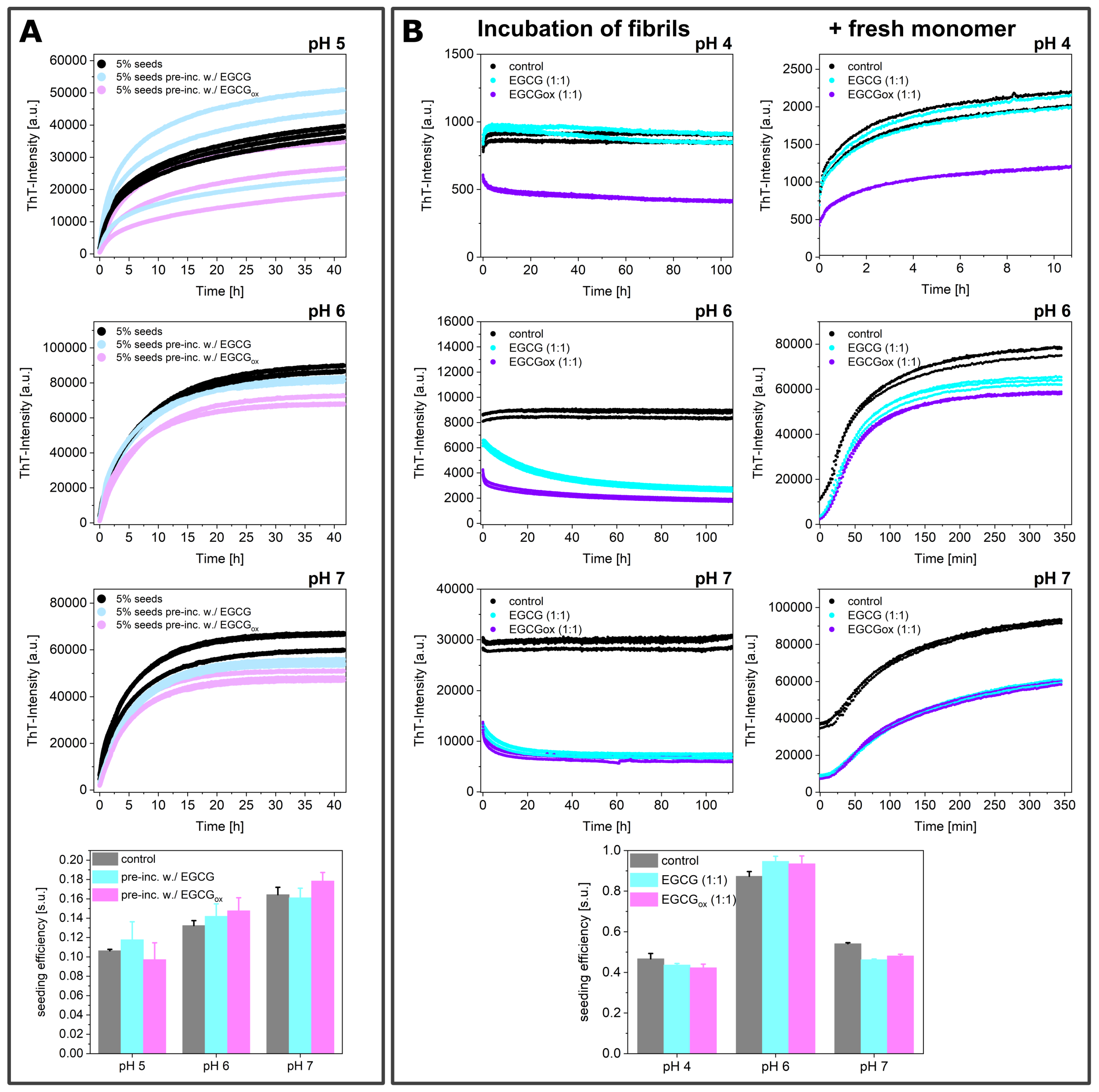 Ijms 21 01995 g010 Ijms 21 01995 g010