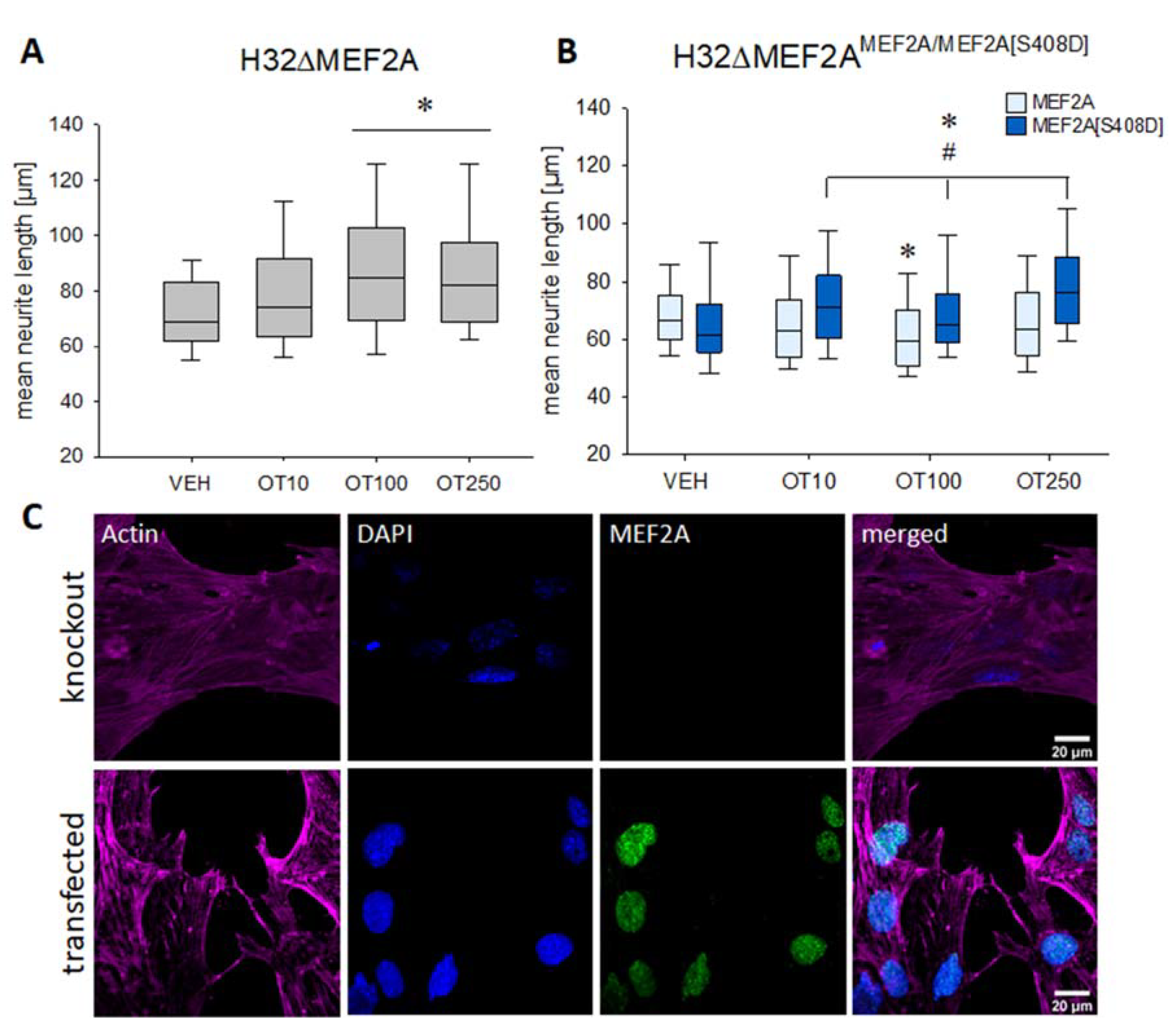 Ijms 21 02200 g002 Ijms 21 02200 g002
