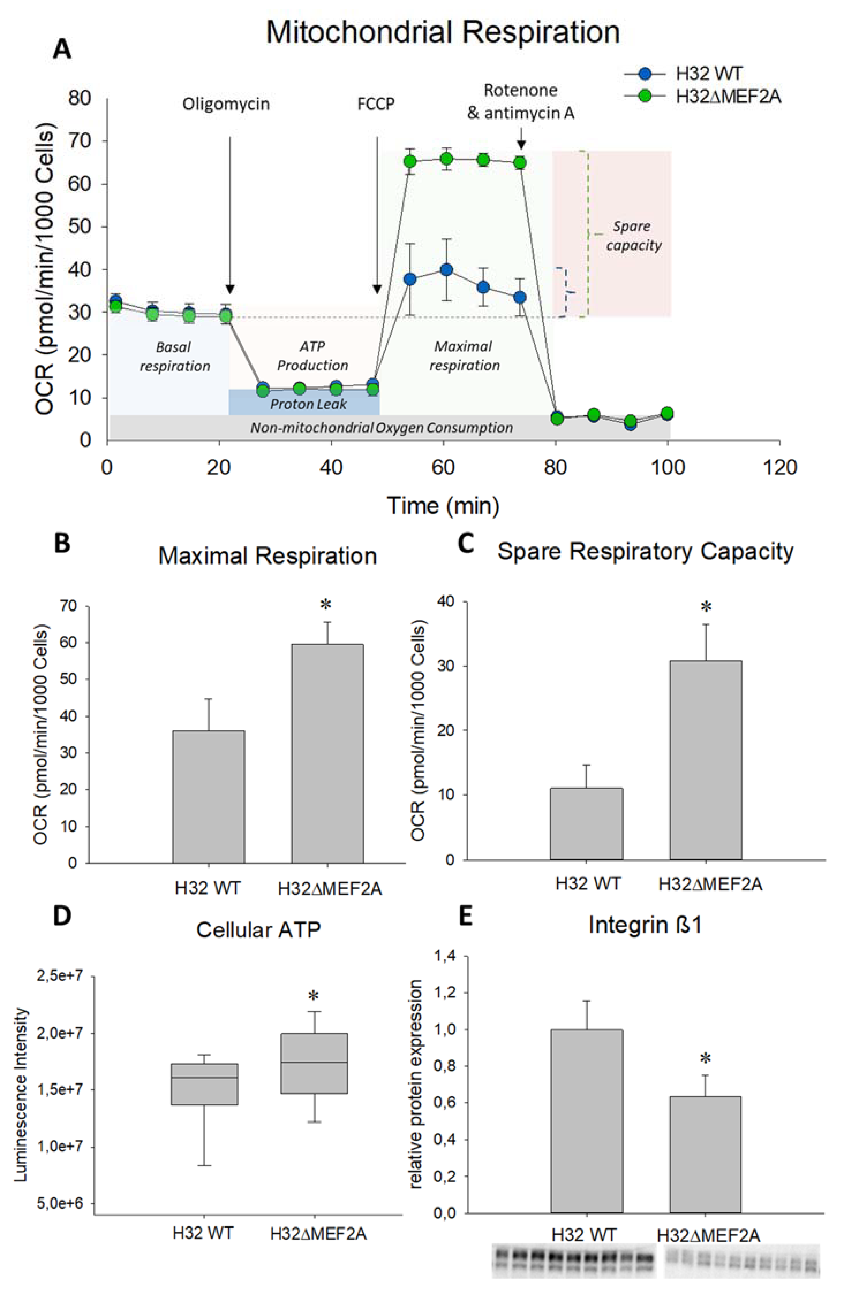 Ijms 21 02200 g004 Ijms 21 02200 g004