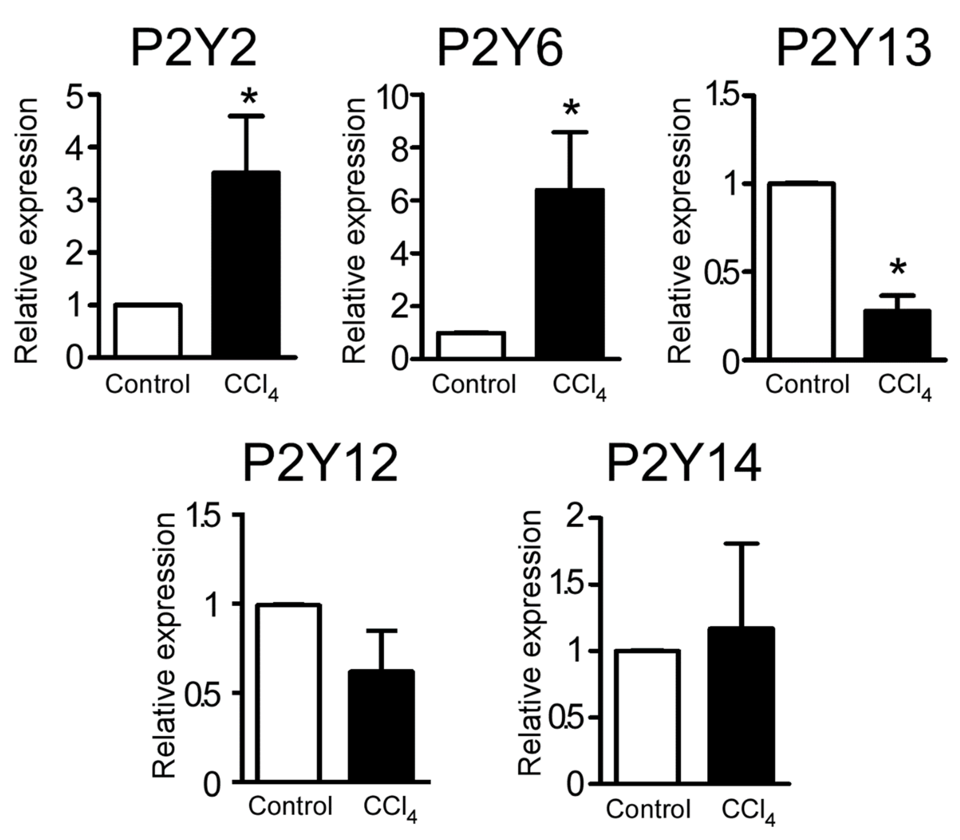 Ijms 21 02305 g002 Ijms 21 02305 g002