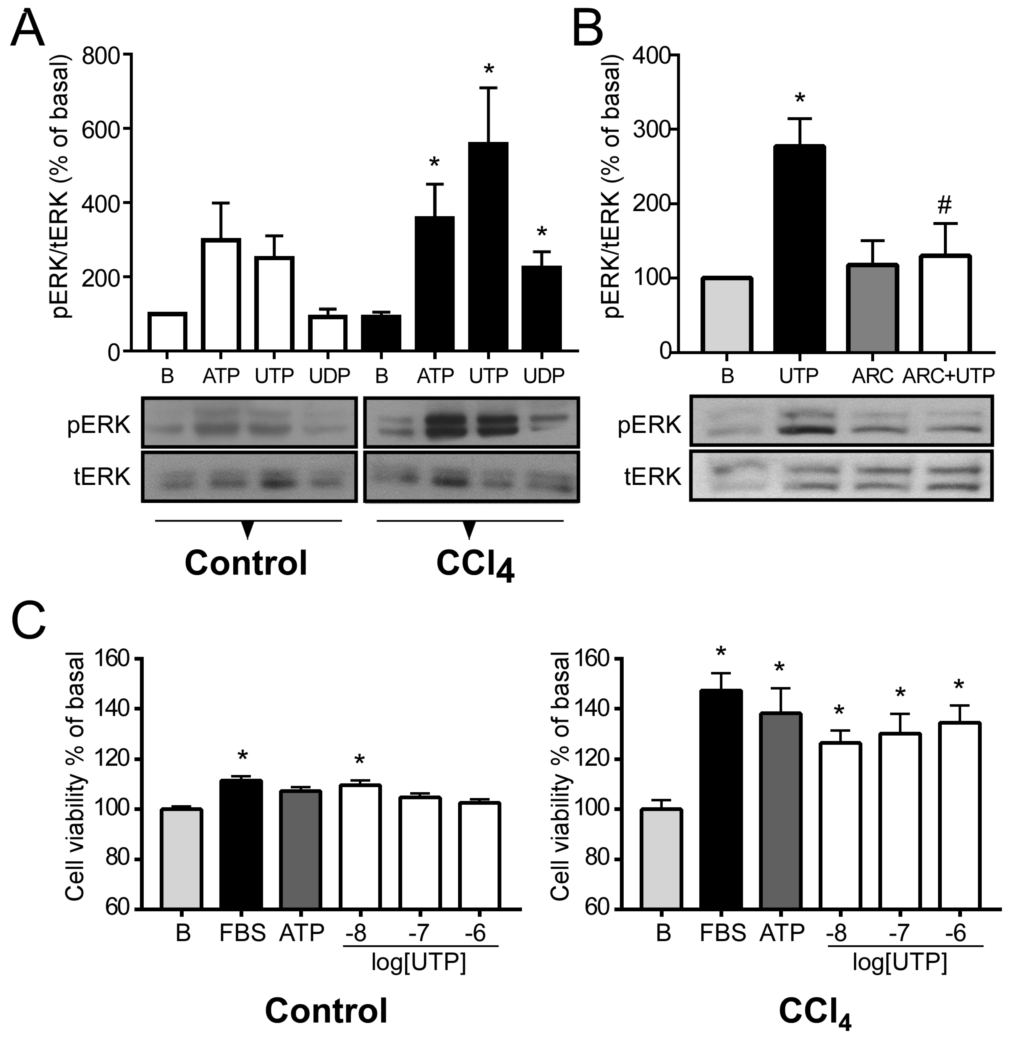 Ijms 21 02305 g004 Ijms 21 02305 g004