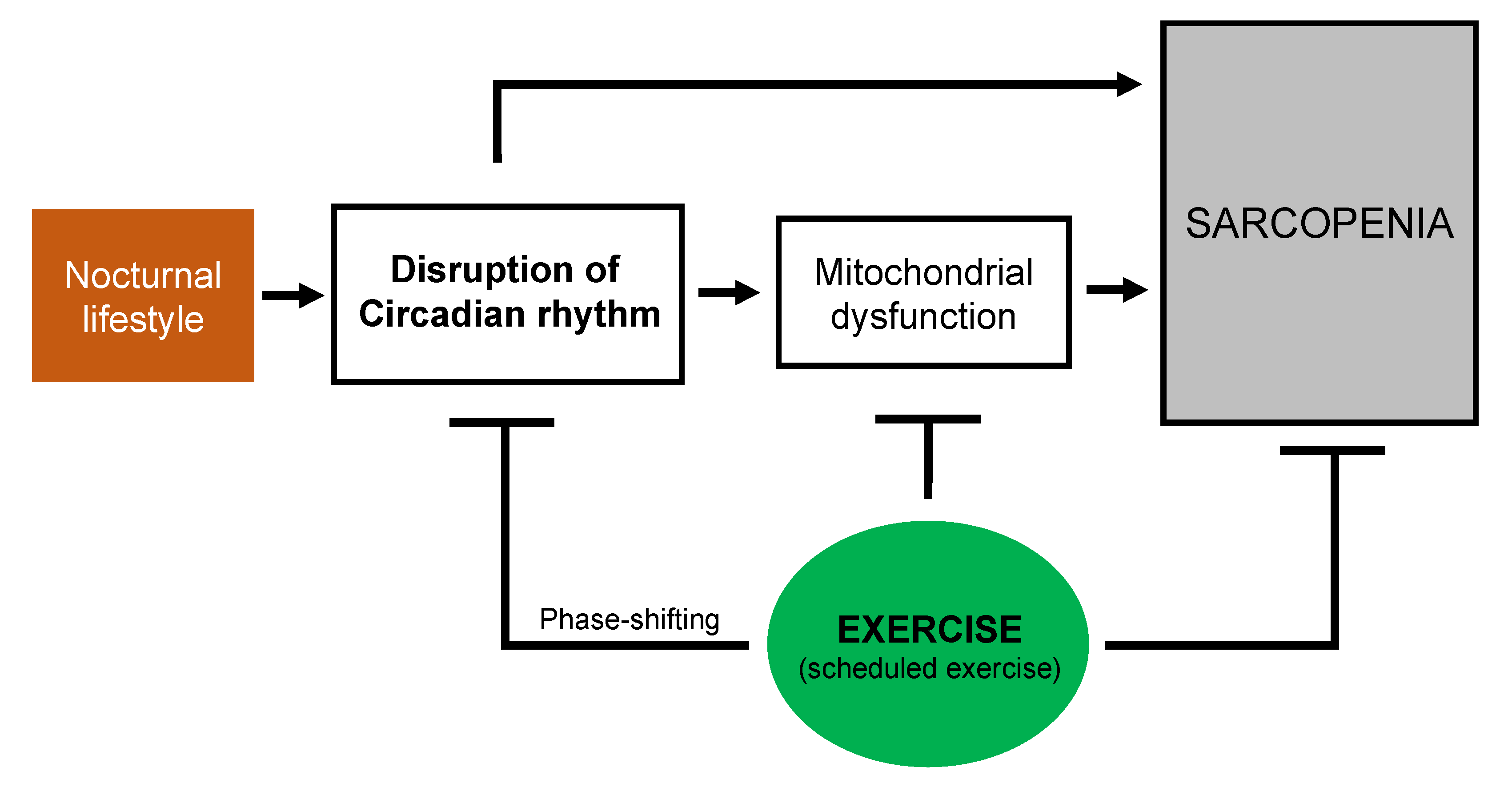 Ijms 21 03106 g001 Ijms 21 03106 g001