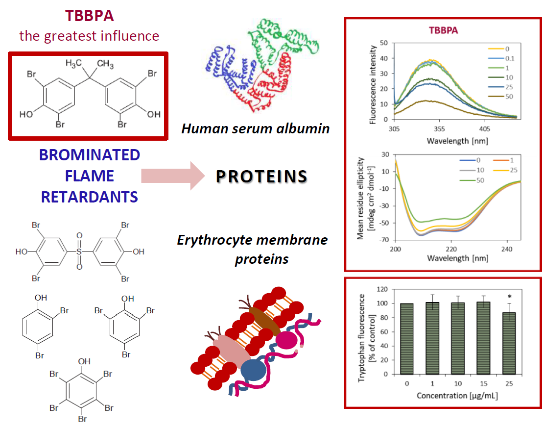 Ijms Free Full Text Evaluation Of The Effect Of Selected Brominated