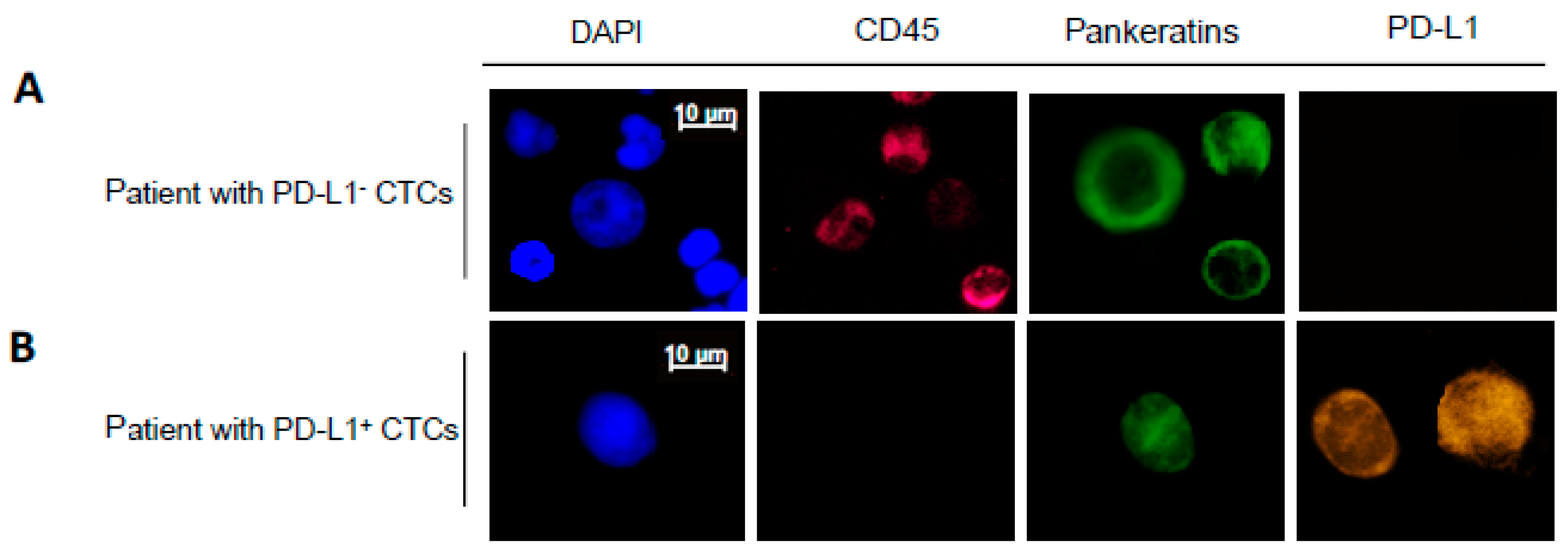 Ijms 21 06907 g002a Ijms 21 06907 g002a