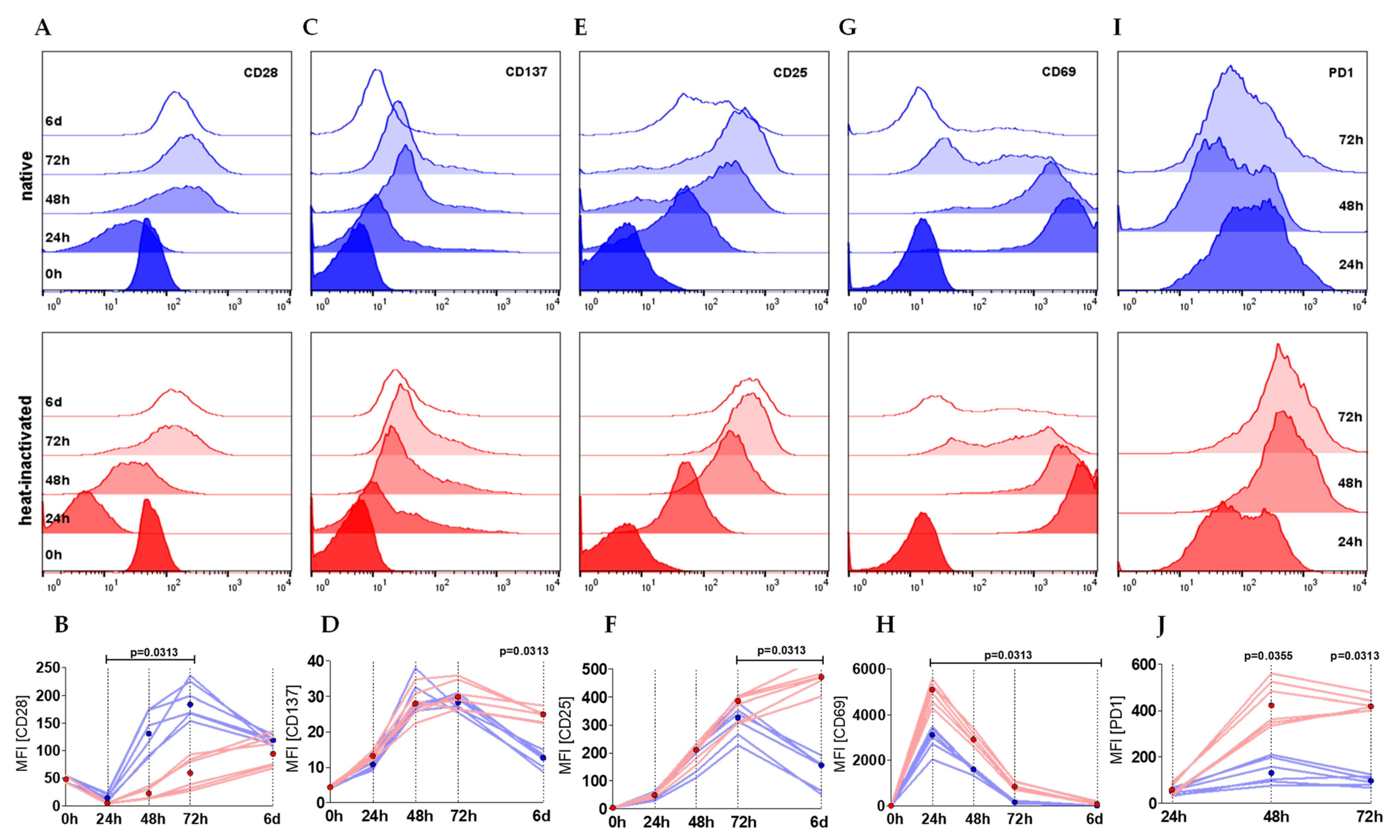 Ijms 22 02646 g003 Ijms 22 02646 g003
