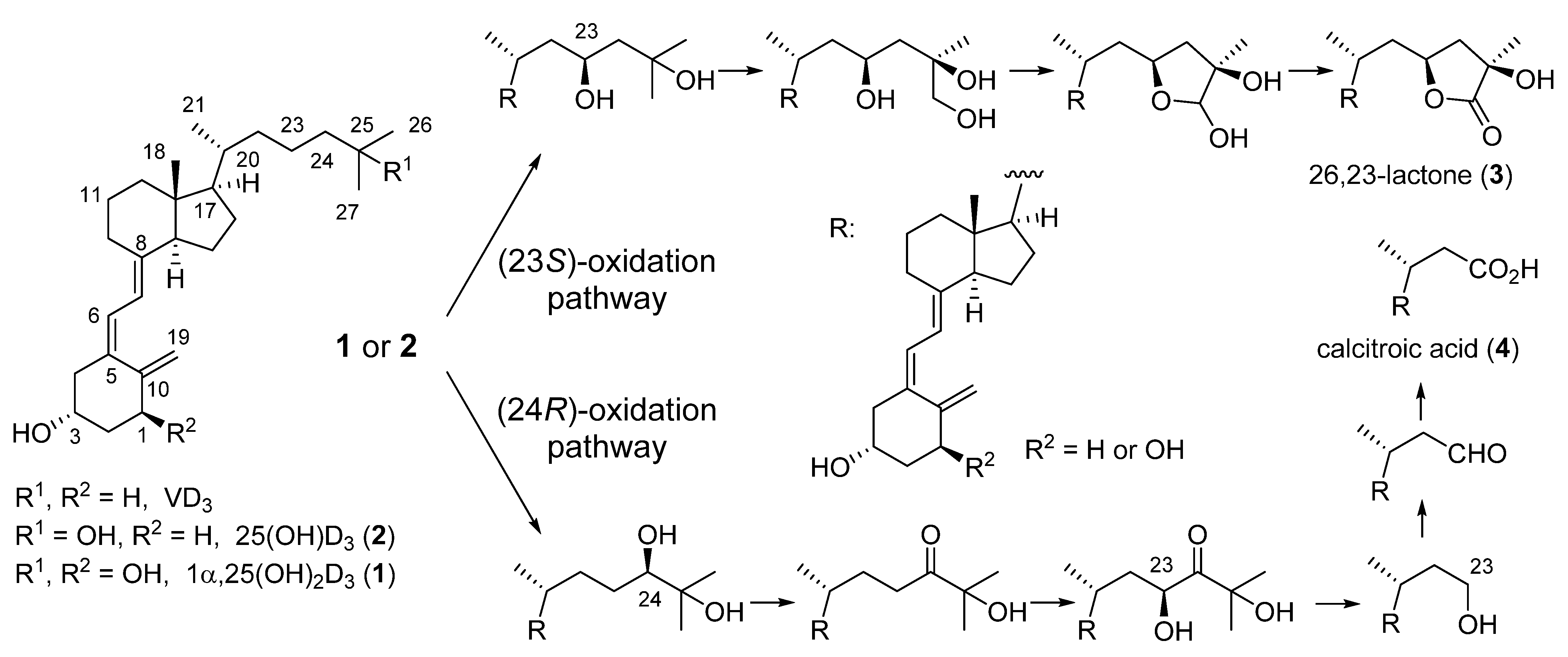 Ijms 22 08191 sch001