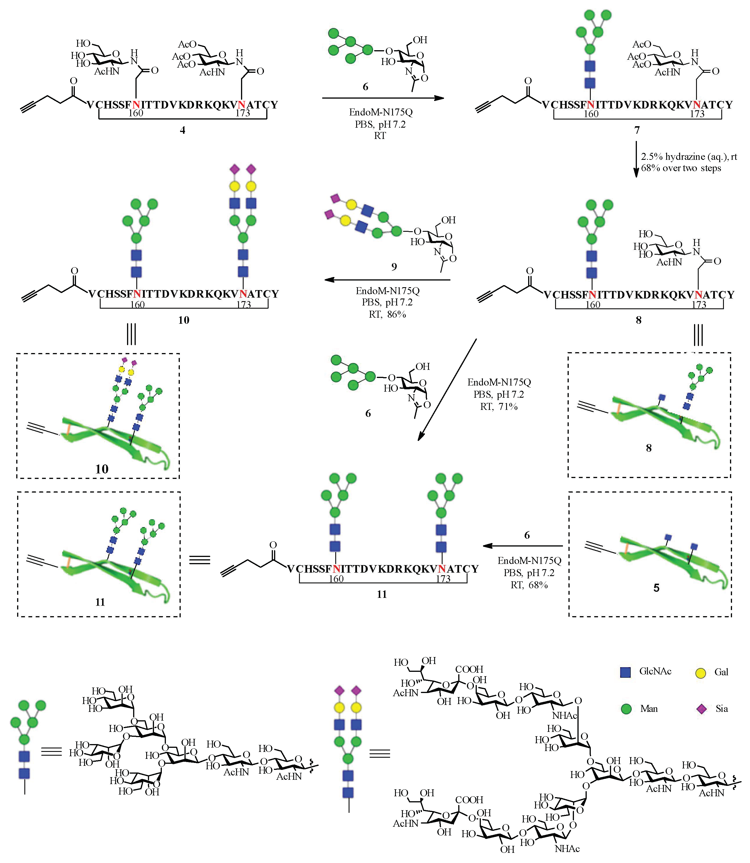 Ijms 22 12538 sch002