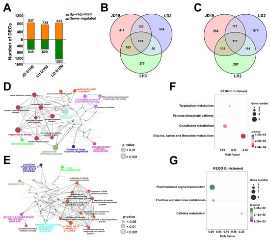 Ijms Free Full Text Integrated Physiological Transcriptomic And