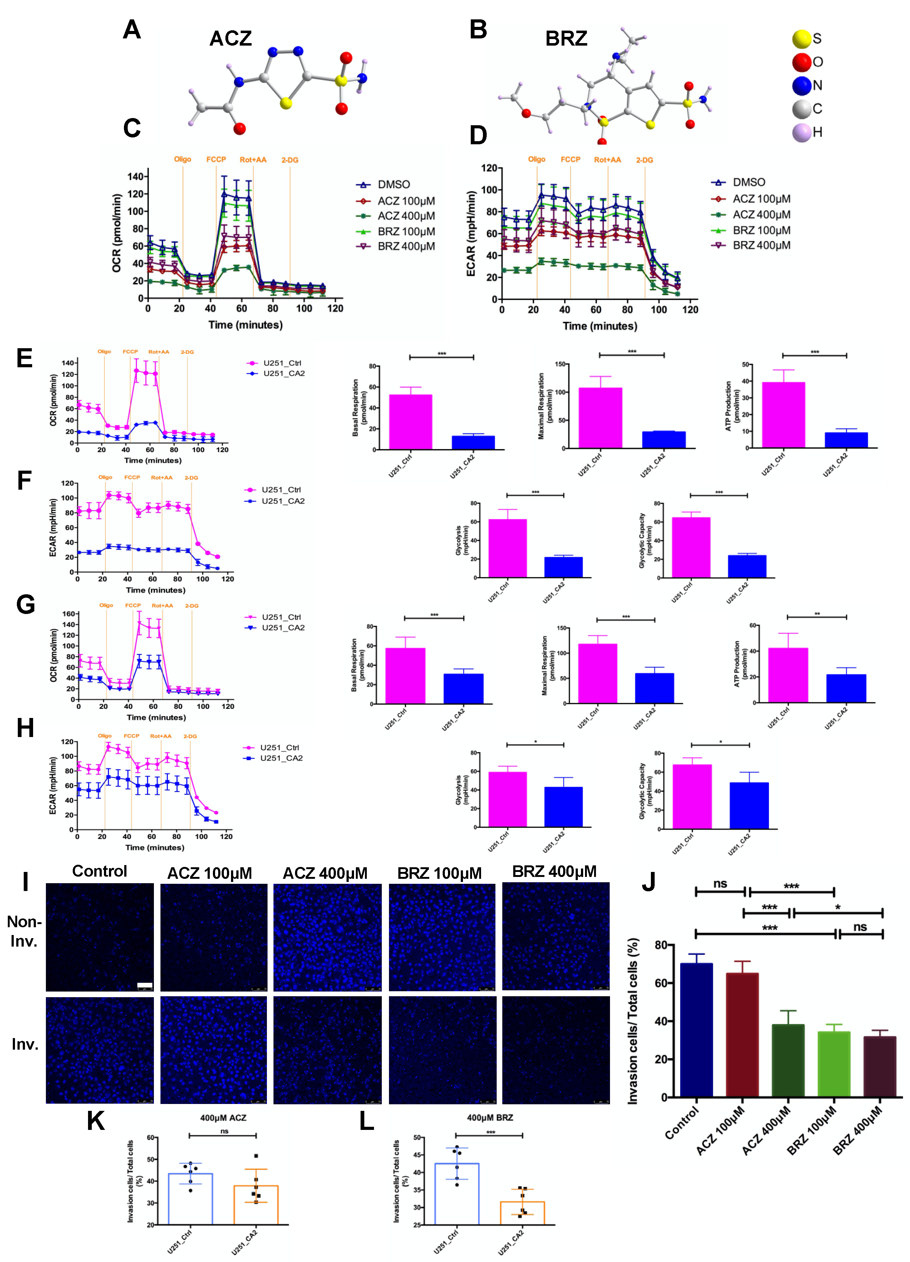 Ijms 23 00157 g003 Ijms 23 00157 g003