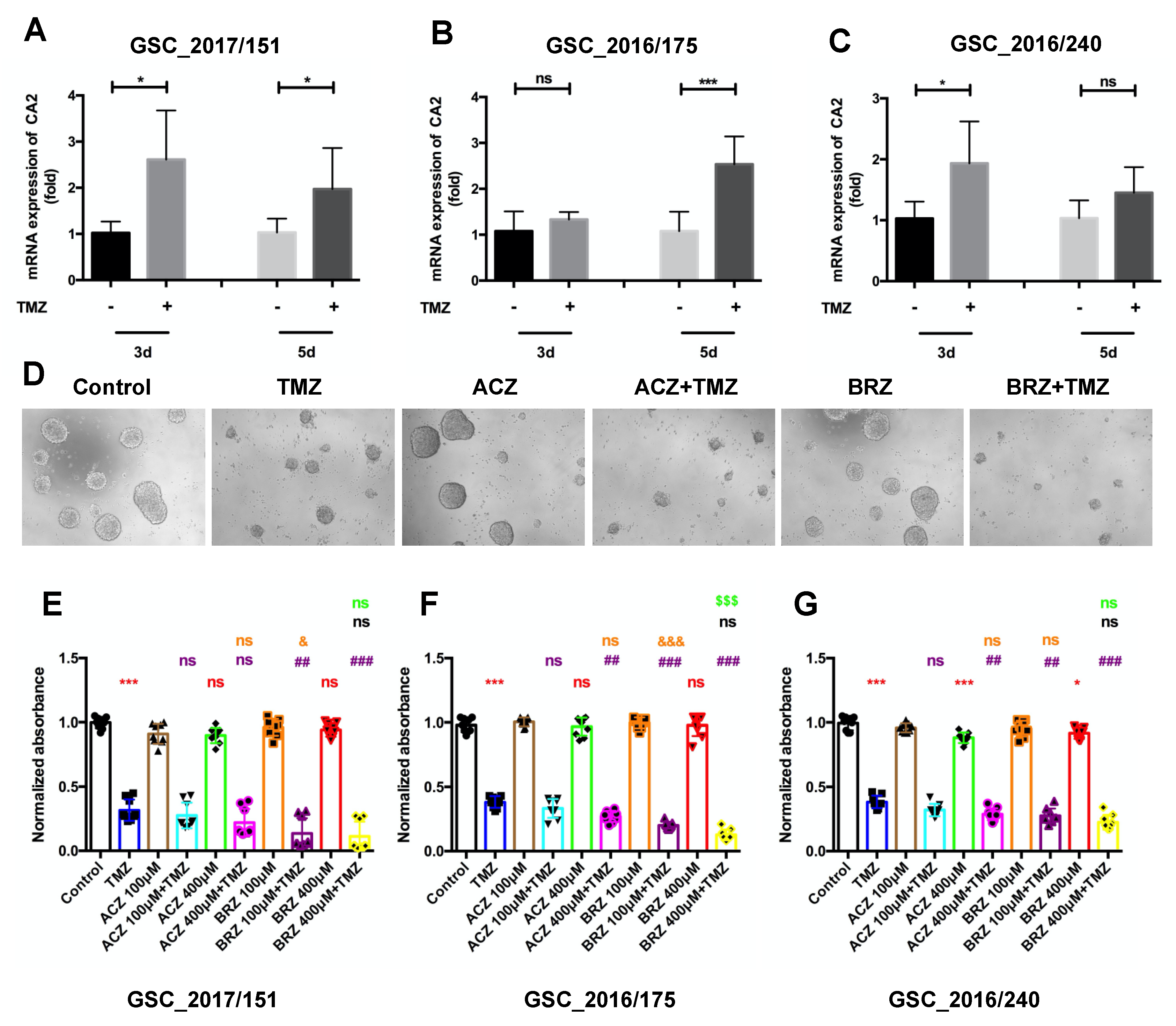 Ijms 23 00157 g005 Ijms 23 00157 g005