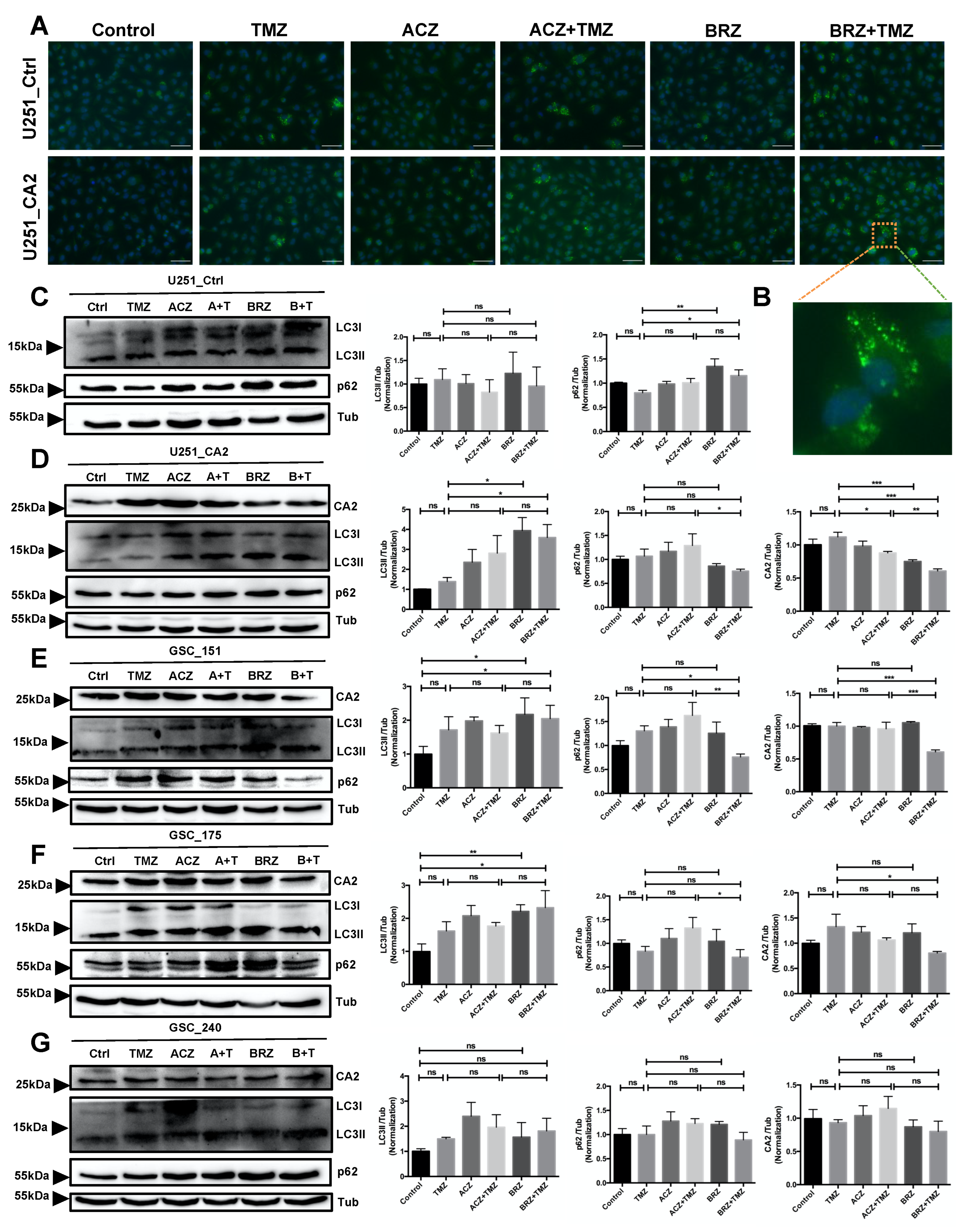 Ijms 23 00157 g007 Ijms 23 00157 g007