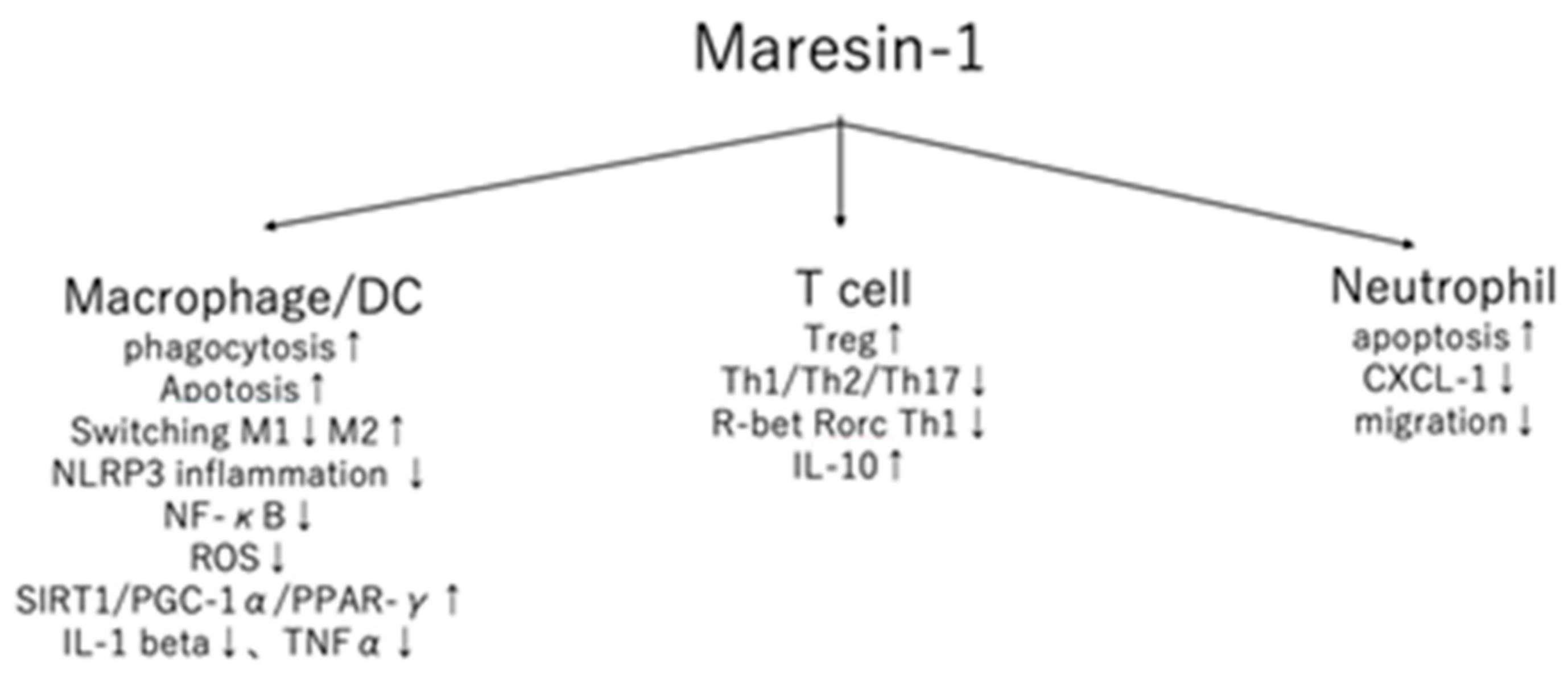 Maresin 1 And Inflammatory Disease