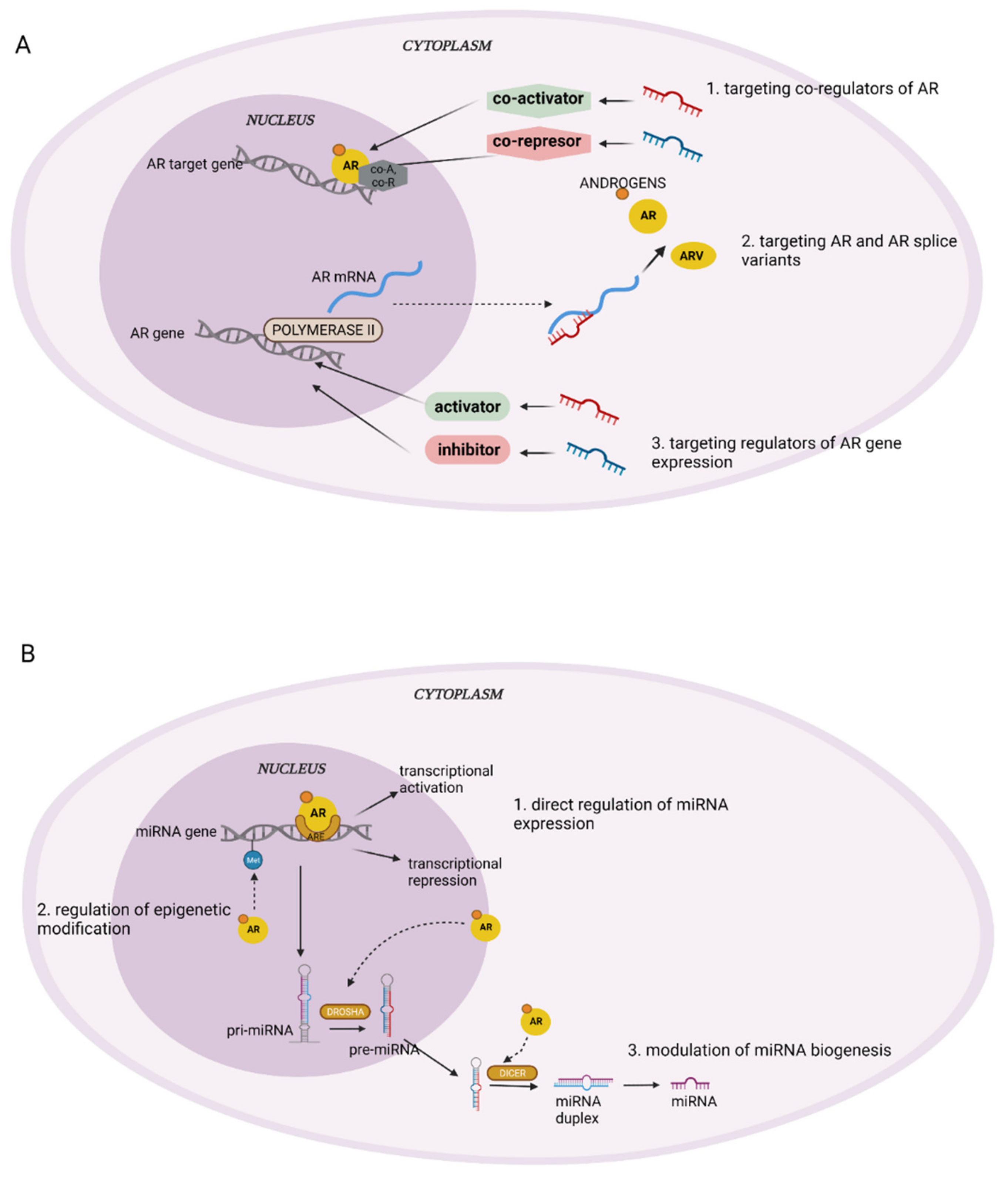 Ijms 23 01553 g002 Ijms 23 01553 g002