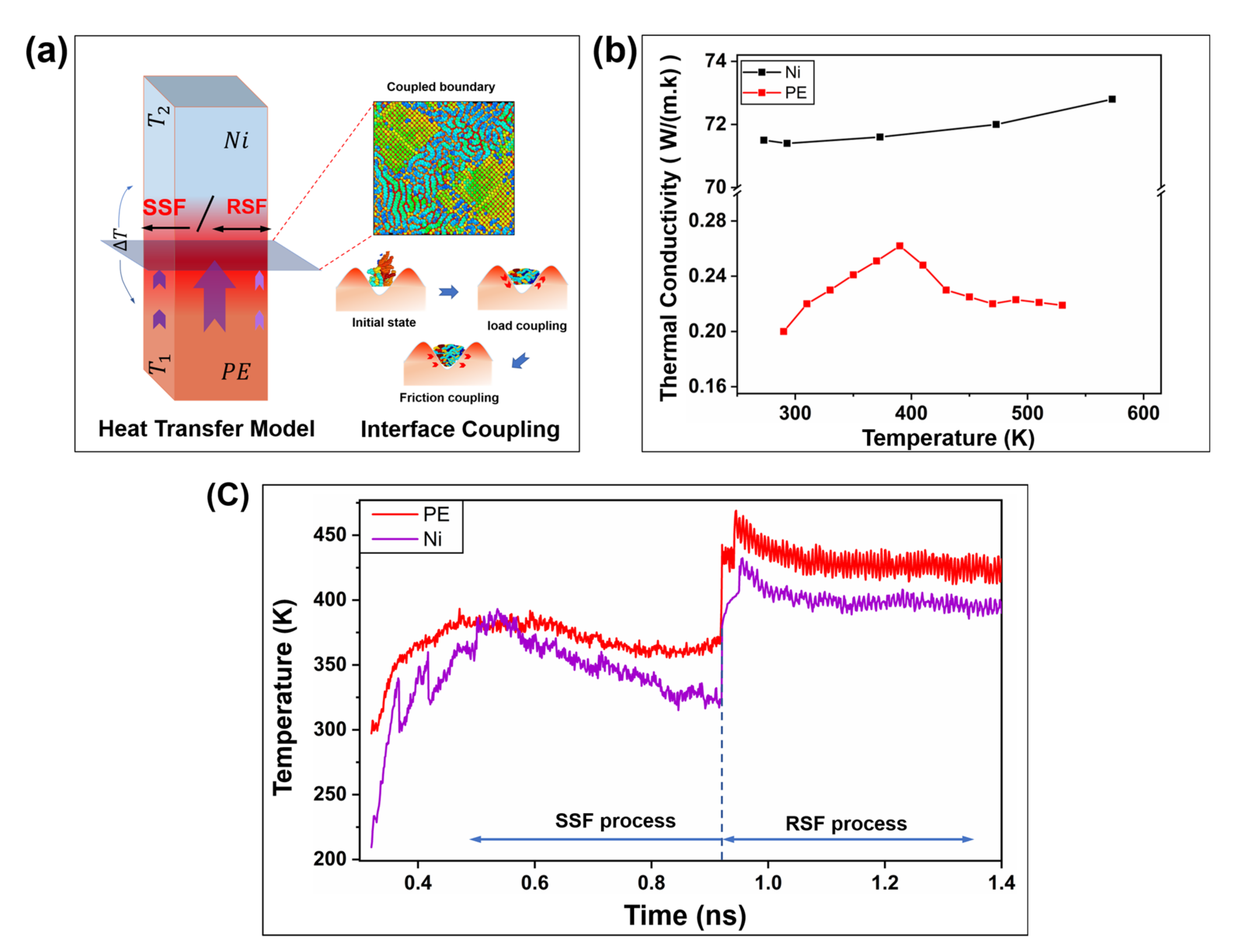 Ijms 23 02829 g008 Ijms 23 02829 g008