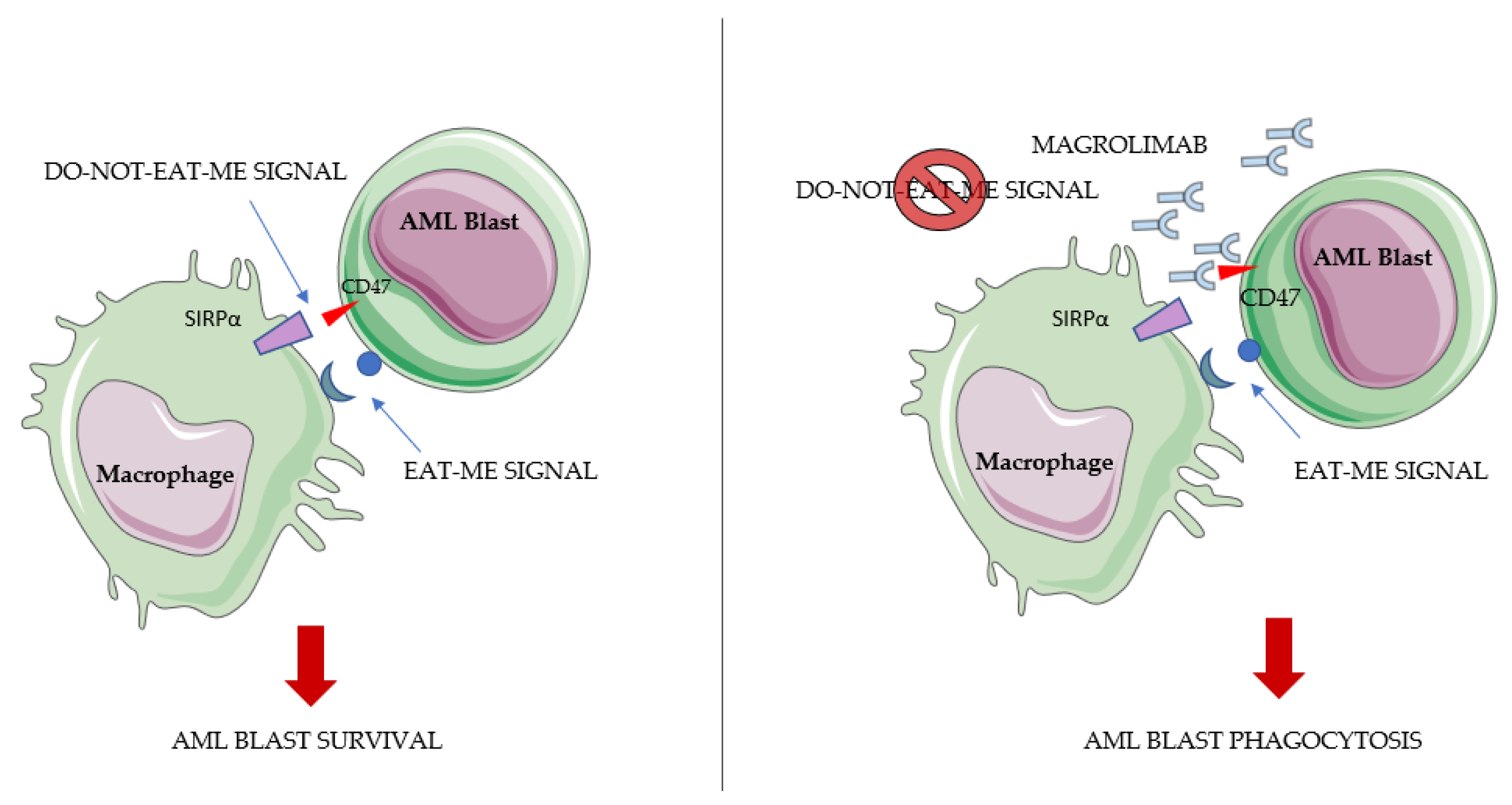 Ijms 23 03887 g003 Ijms 23 03887 g003
