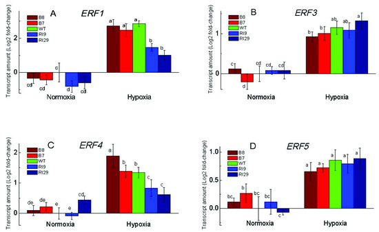 Ijms Free Full Text The Role Of Alternative Oxidase In The