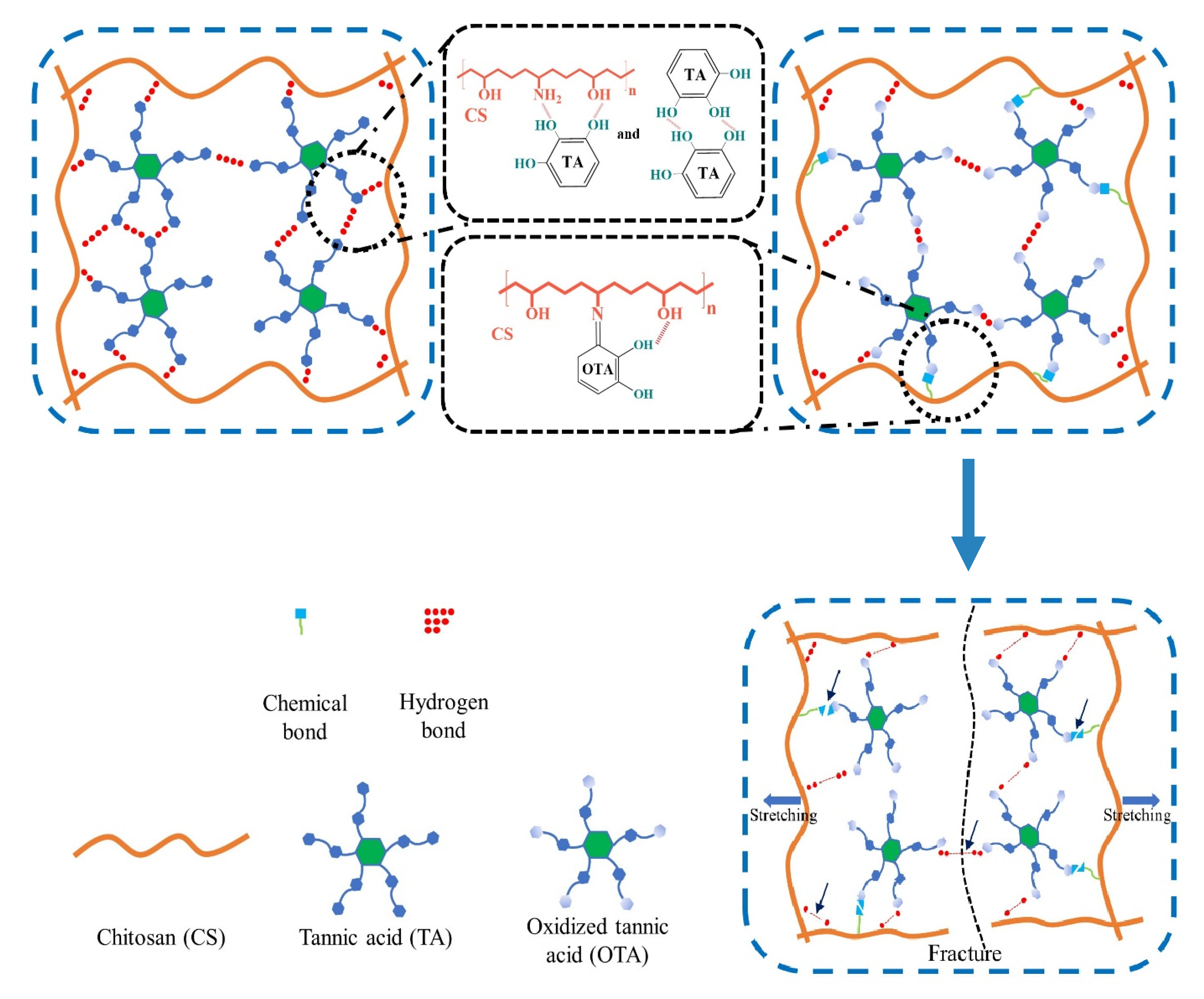 Ijms 23 09284 sch001