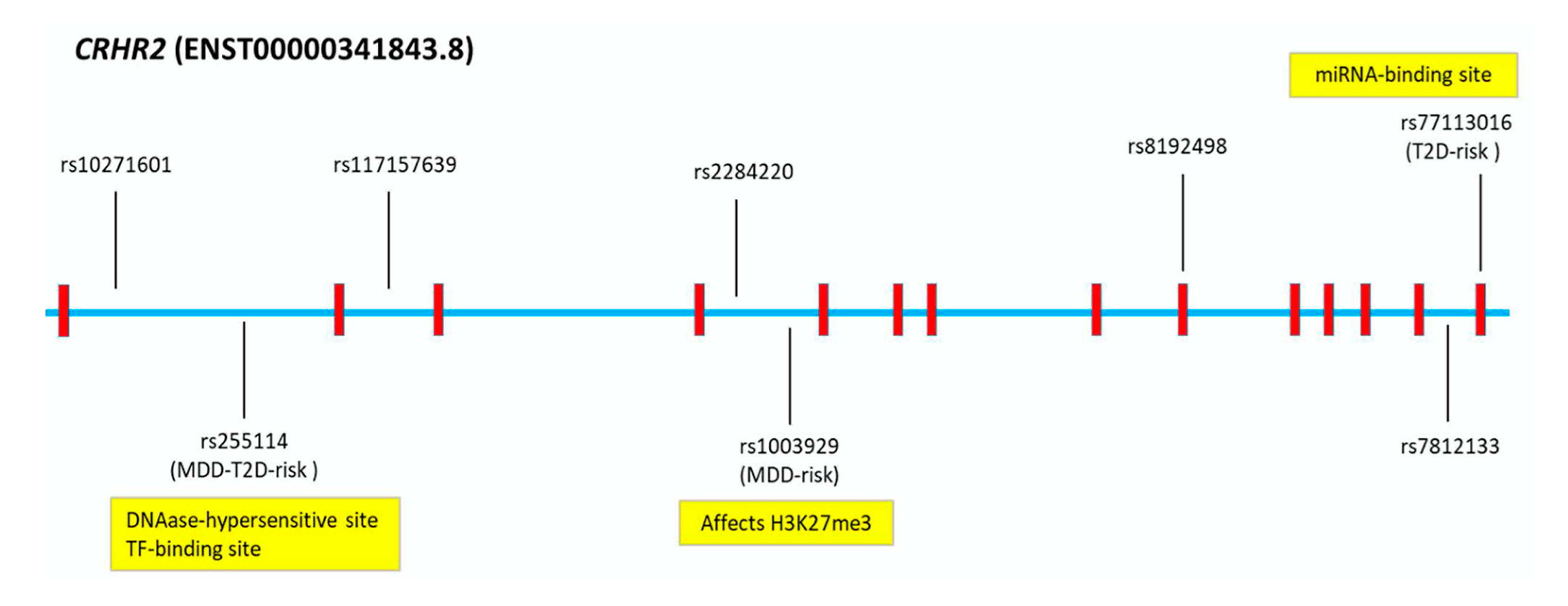 Ijms 23 09819 g005 Ijms 23 09819 g005