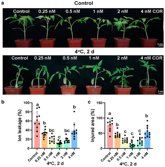 Coronatine Enhances Chilling Tolerance Of Tomato Plants By Inducing