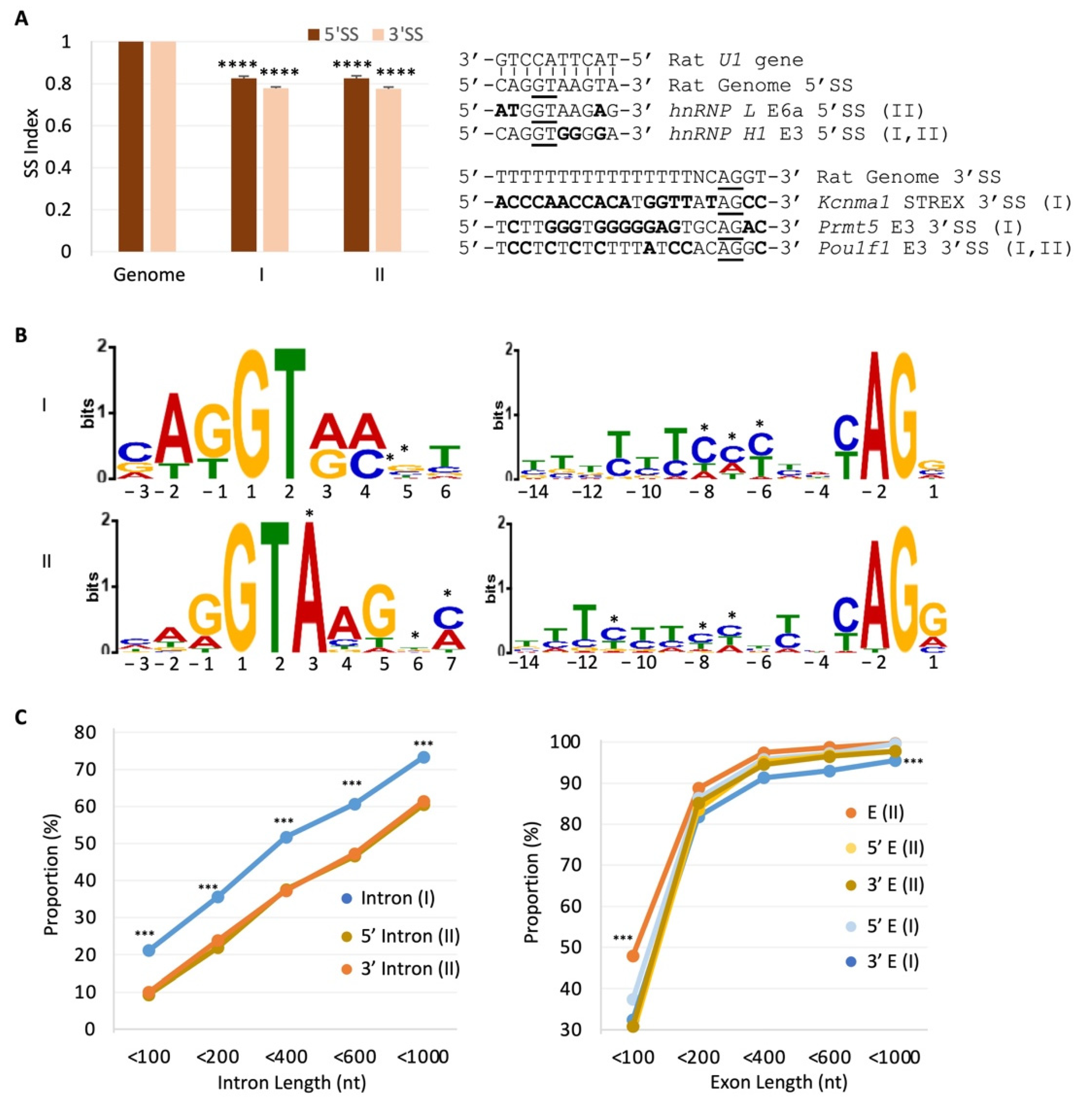 IJMS Free Full Text Transcriptome Wide Detection Of Intron Exon