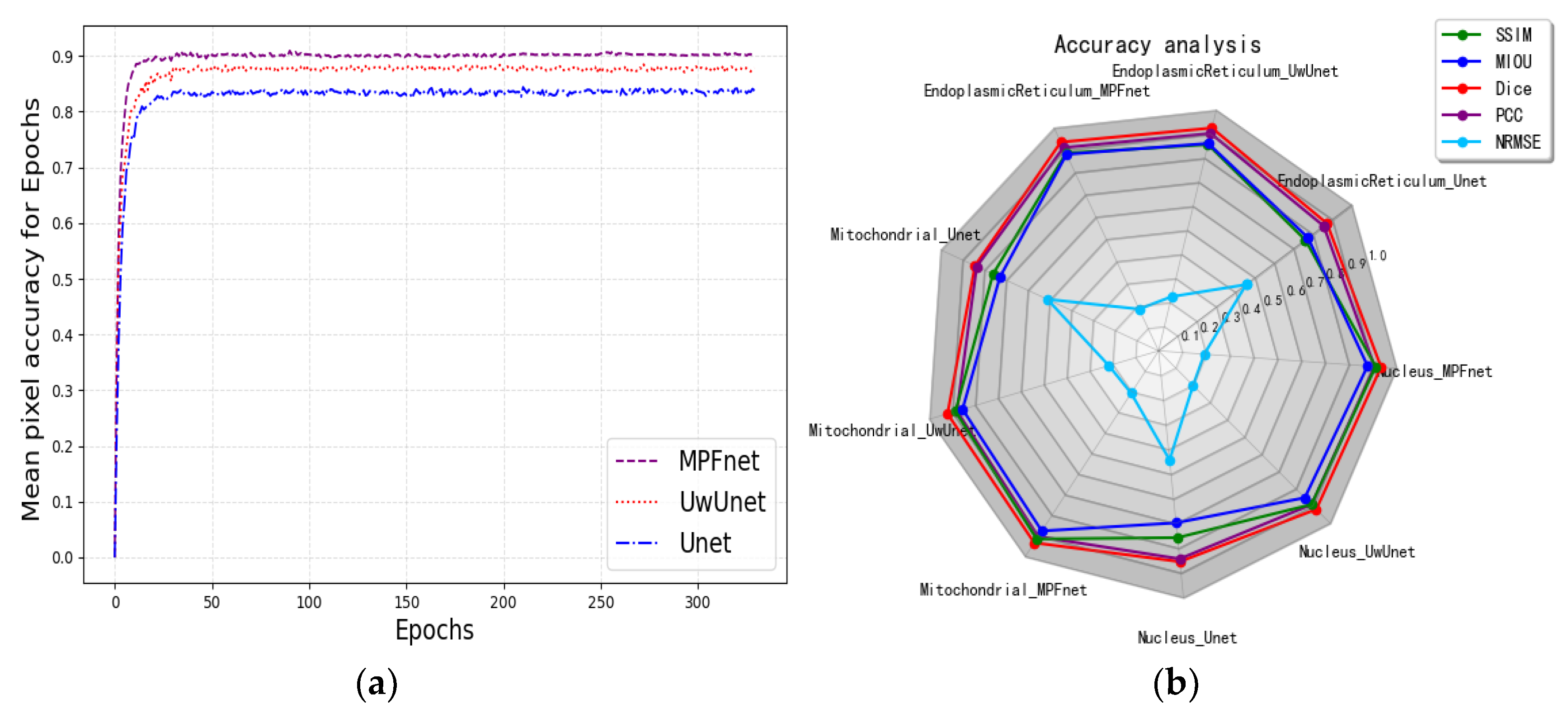 Ijms 23 10827 g004 Ijms 23 10827 g004