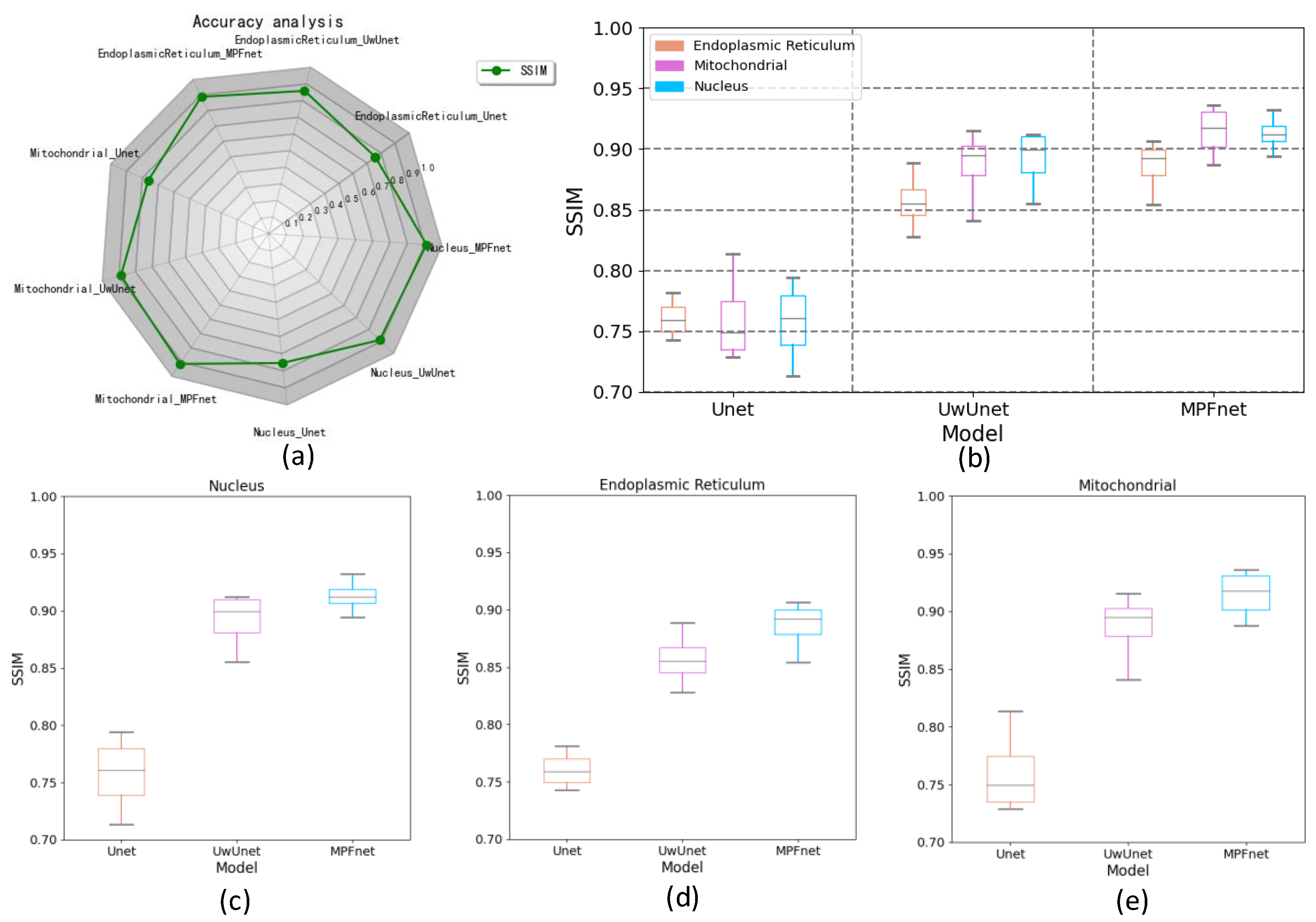Ijms 23 10827 g009 Ijms 23 10827 g009