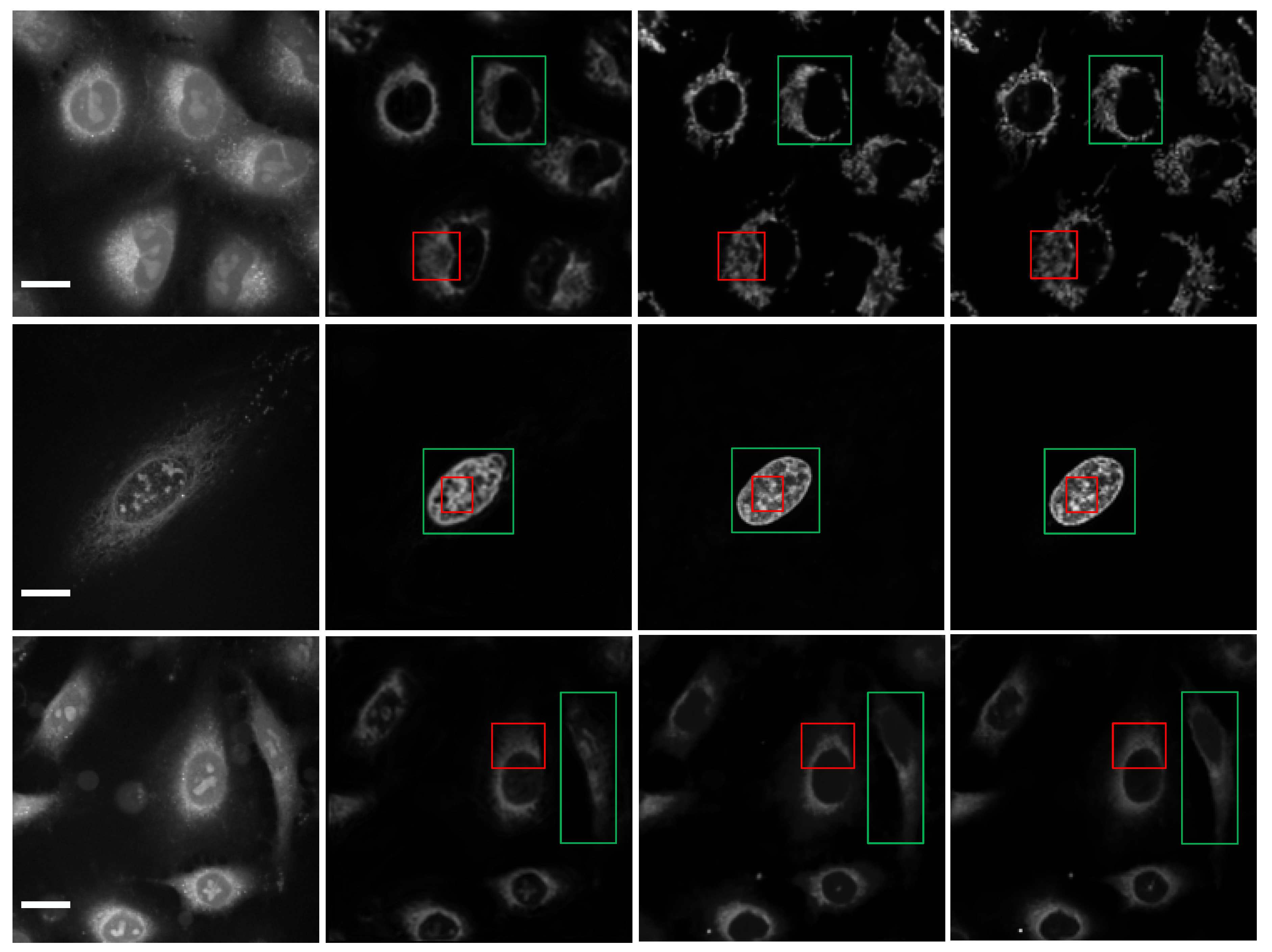 Ijms 23 10827 g010 Ijms 23 10827 g010