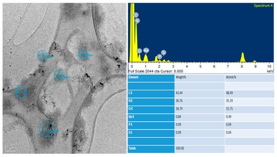 Ijms Free Full Text Naked And Decorated Nanoparticles Containing