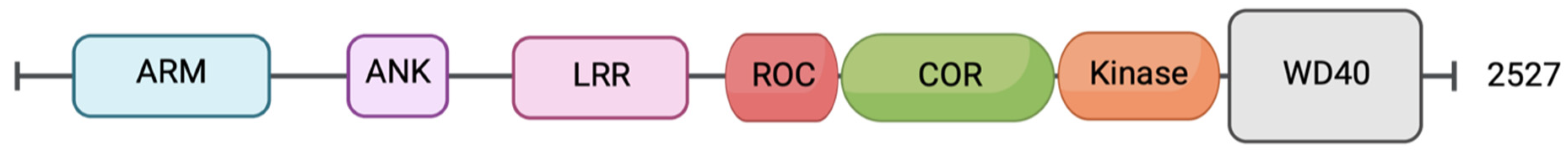 Ijms 23 11744 g001 Ijms 23 11744 g001